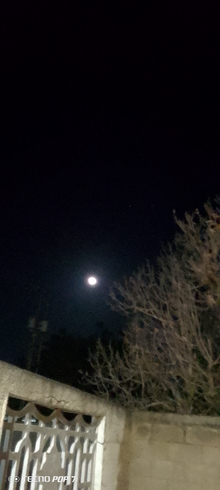 The image shows a night scene, presumably in Altagracia, Venezuela, featuring the moon in the dark sky. In the foreground, there is a concrete wall with a decorative metal gate. To the right of the gate, there's a bare tree with many branches. The sky is very dark, with only a few faint stars visible. A light source, likely a streetlight or the moon, illuminates the wall and the tree. The image has a watermark at the bottom left corner.