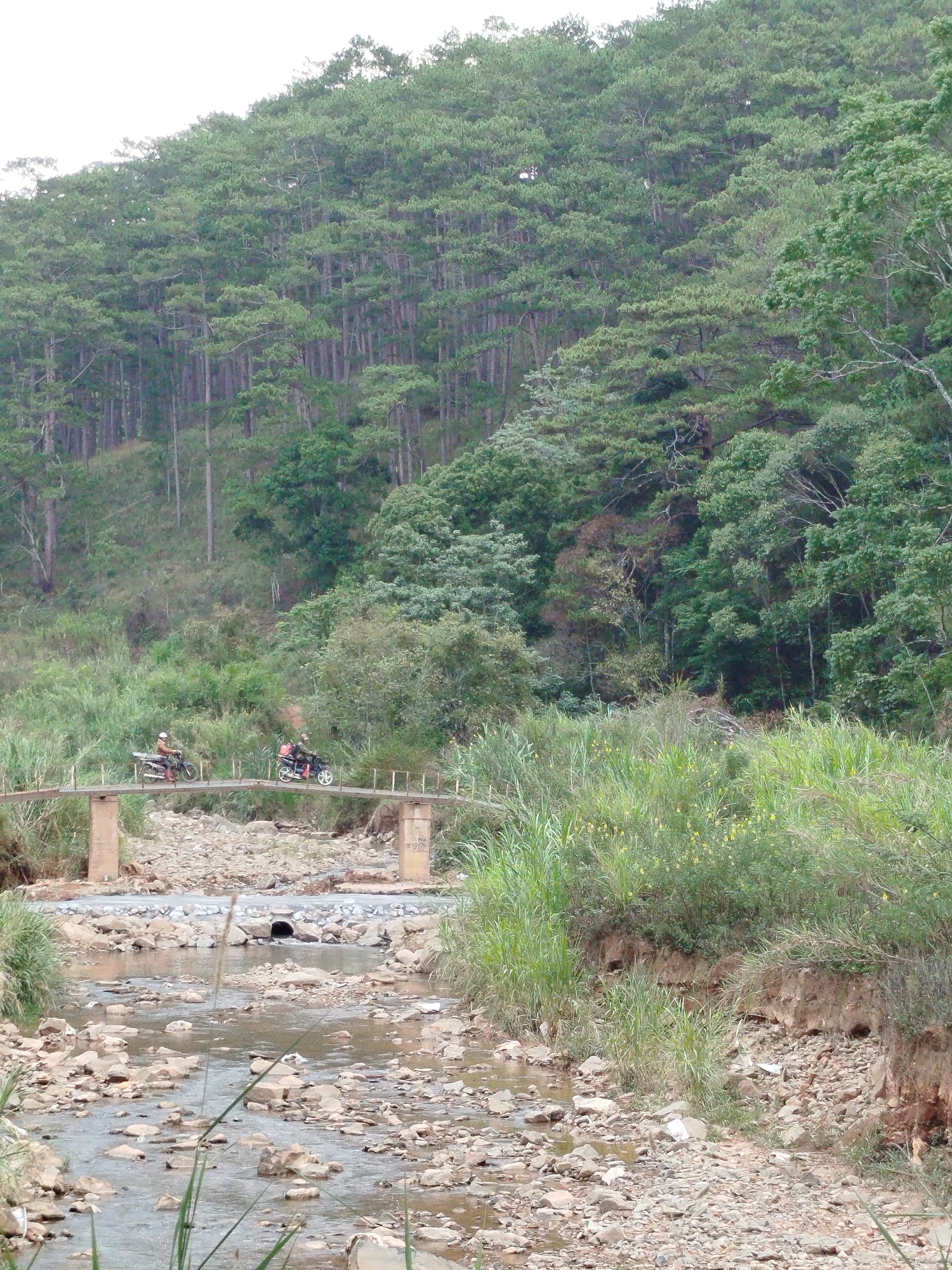 The image captures a scene in the countryside of Đa Thọ, Vietnam. A shallow, rocky stream flows in the foreground, with vegetation along its banks. A small, simple bridge spans the stream. Two people on motorcycles are crossing the bridge. A densely forested hill rises in the background. The weather appears overcast.