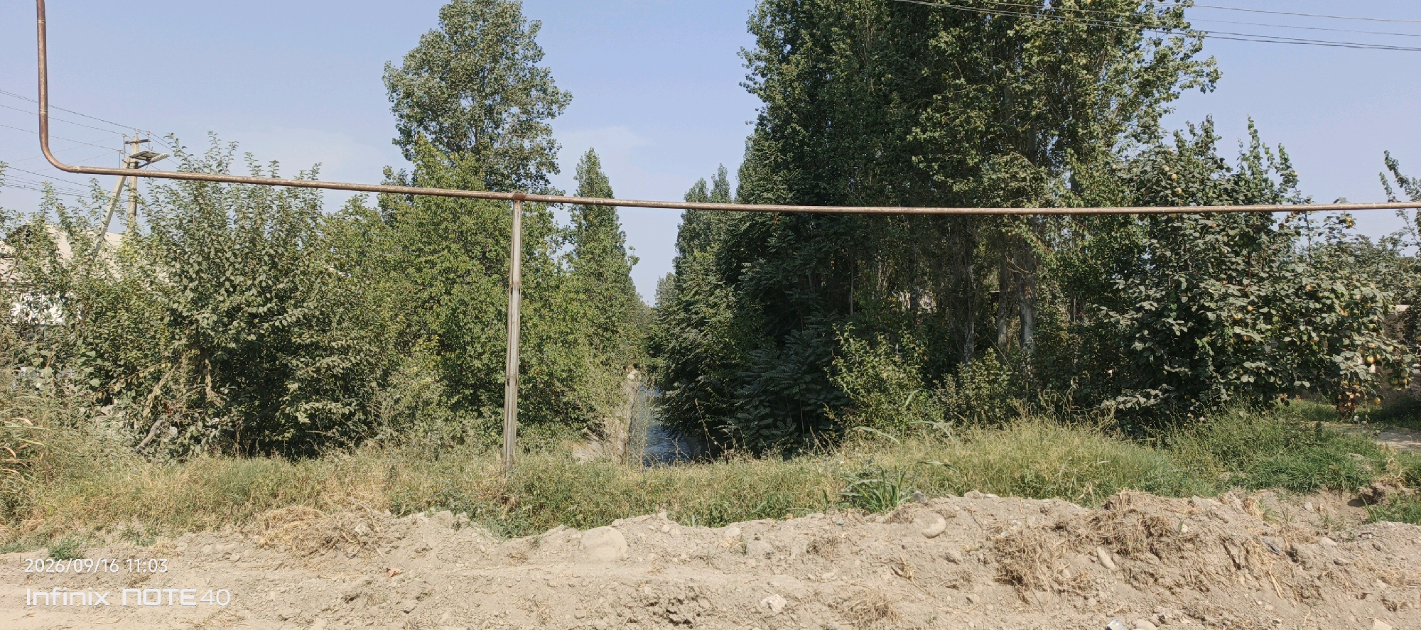 The image shows a tree-lined area with a blue sky. A brown pipe runs horizontally across the scene, supported by a vertical pole. In the background, there are tall trees and smaller bushes, some of which appear to be fruit trees with yellow fruit. A narrow body of water is visible between the trees. The foreground consists of dry grass and soil. A timestamp in the bottom left corner reads "2026/09/16 11:03" and "Infinix NOTE 40". The scene is likely in a rural or semi-rural area of Muyan, Uzbekistan, given the presence of fruit trees, irrigation canal, and the Infinix phone branding which is common in the region. There are no people or animals visible in the image.