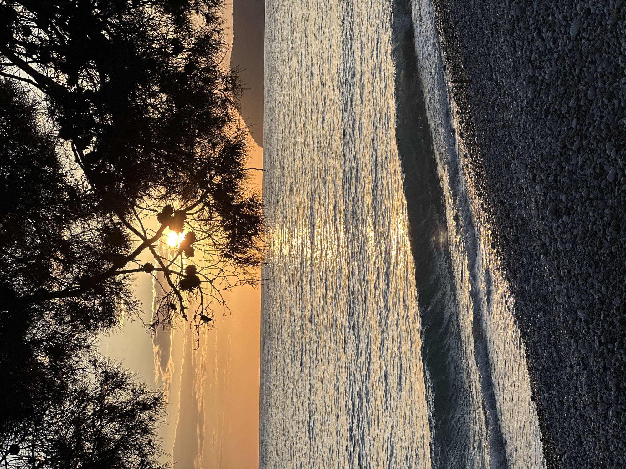 The image captures a scenic view, likely at sunset, in Šušanj, Montenegro. A silhouette of a pine tree dominates the left side of the frame, with the sun peeking through its branches. To the right, the water reflects the golden sunlight, creating shimmering patterns. Further right is a pebble beach. The absence of people or distinct actions suggests a tranquil moment.
