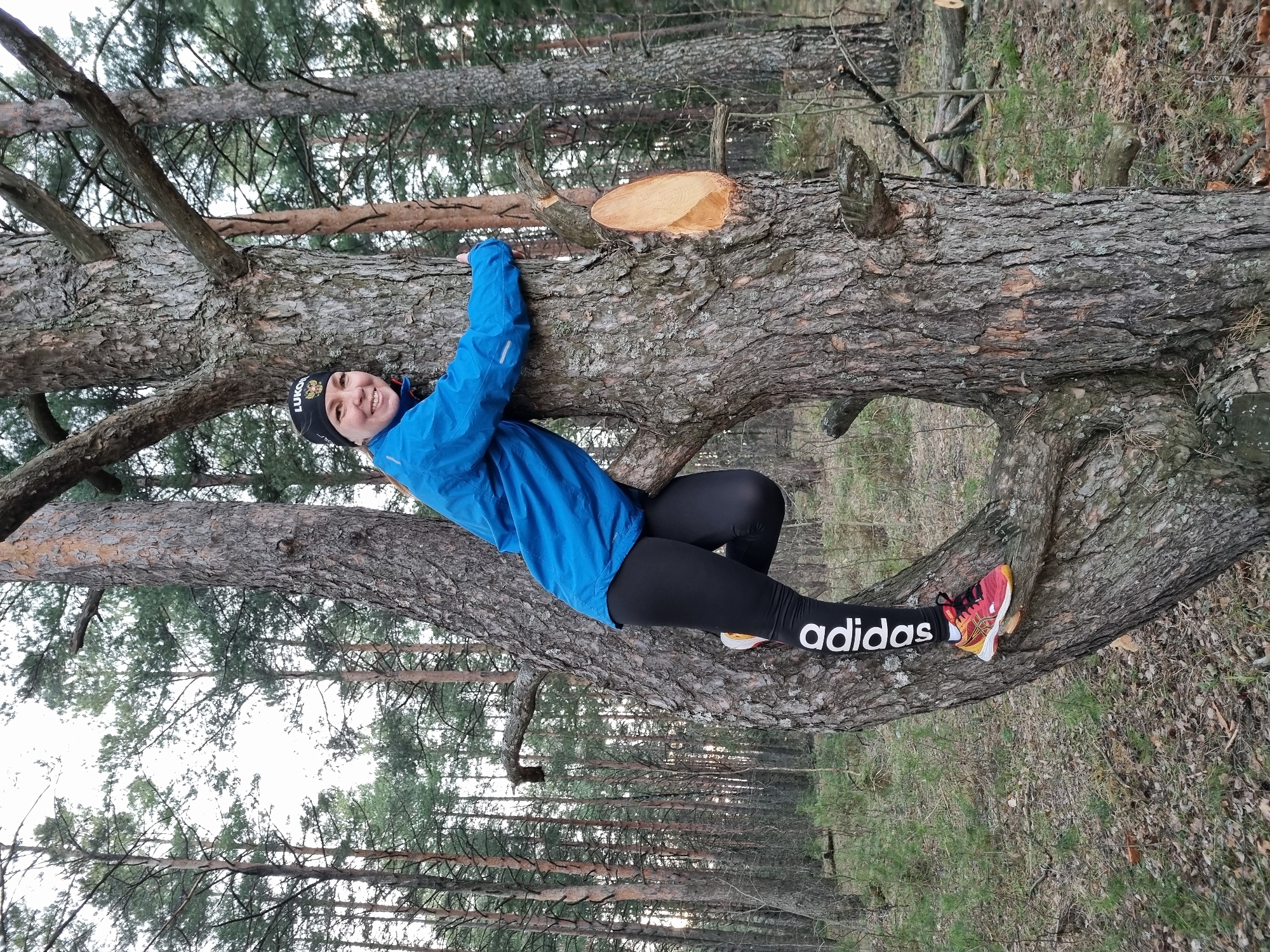 A young woman is captured smiling while hanging or leaning on a large, horizontal tree trunk in a dense pine forest. She is dressed in a bright blue athletic jacket, black leggings, and a black beanie hat. Her expression conveys happiness and enjoyment.
Visible text on her black beanie includes "LUKOIL" along with a circular logo. Her black leggings prominently display "adidas" in white text running vertically up the lower leg. She is wearing colorful athletic shoes, primarily red and orange, with white accents.
The tree she is on is a large pine, characterized by its thick, textured bark. A section of the trunk has been recently cut, revealing the lighter, fresh wood beneath the bark. The forest floor is covered with an assortment of dried leaves, pine needles, and sparse undergrowth. In the background, numerous tall pine trees create a deep forest setting under an overcast sky, suggesting diffused lighting. The scene depicts a casual, recreational moment in nature, located in Прикамский, Russia.