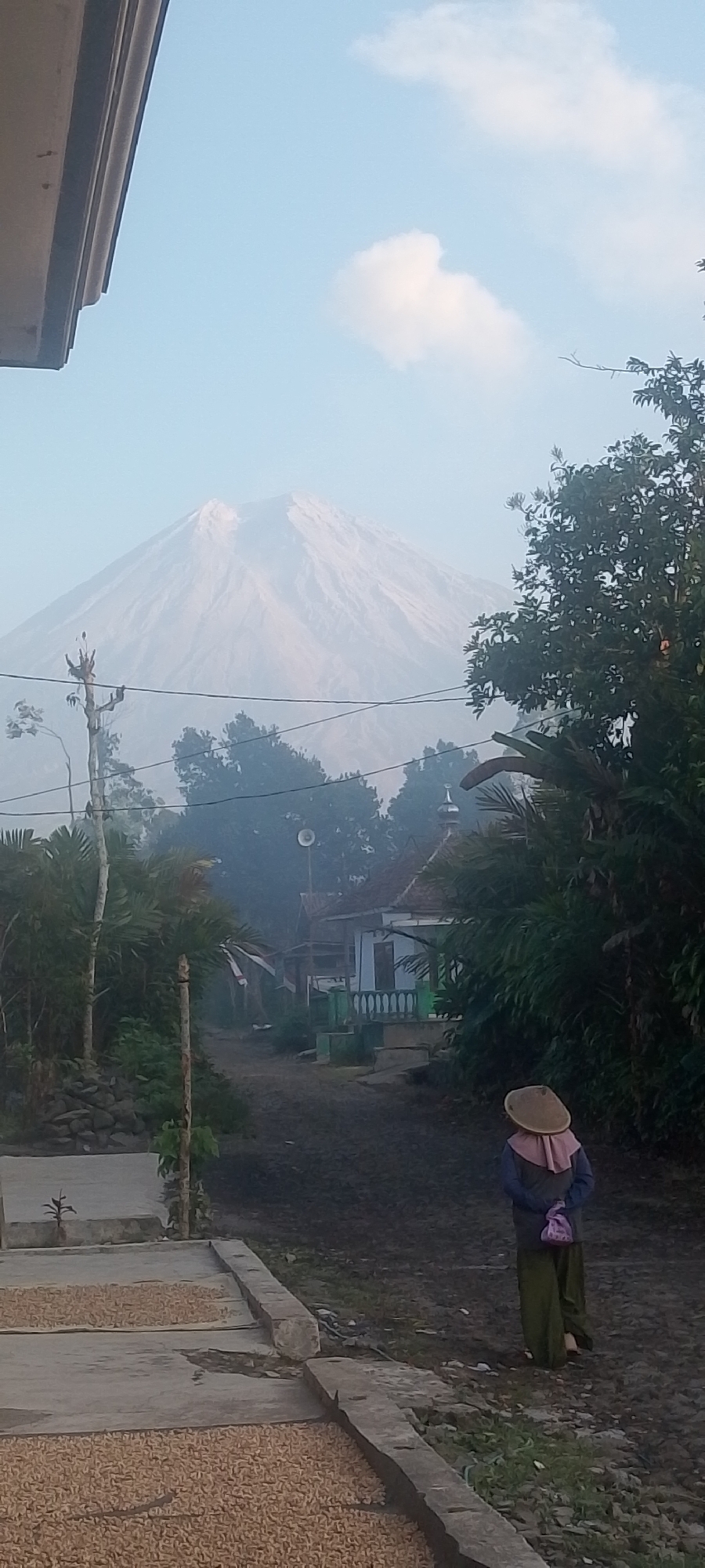 In the city of Oro-oro Ombo, Indonesia, a person wearing a conical hat and traditional clothing walks down a dirt path. The person is facing away from the camera, and their hands are clasped behind their back. The person is carrying a pink bag on their back. In the background, there is a large volcano that is partially obscured by mist. There are also several houses and trees in the background. The foreground shows two raised concrete platforms with what appears to be grains or seeds laid out to dry. The sky is clear with a few scattered clouds. The overall scene depicts a rural Indonesian village with a prominent natural landmark.