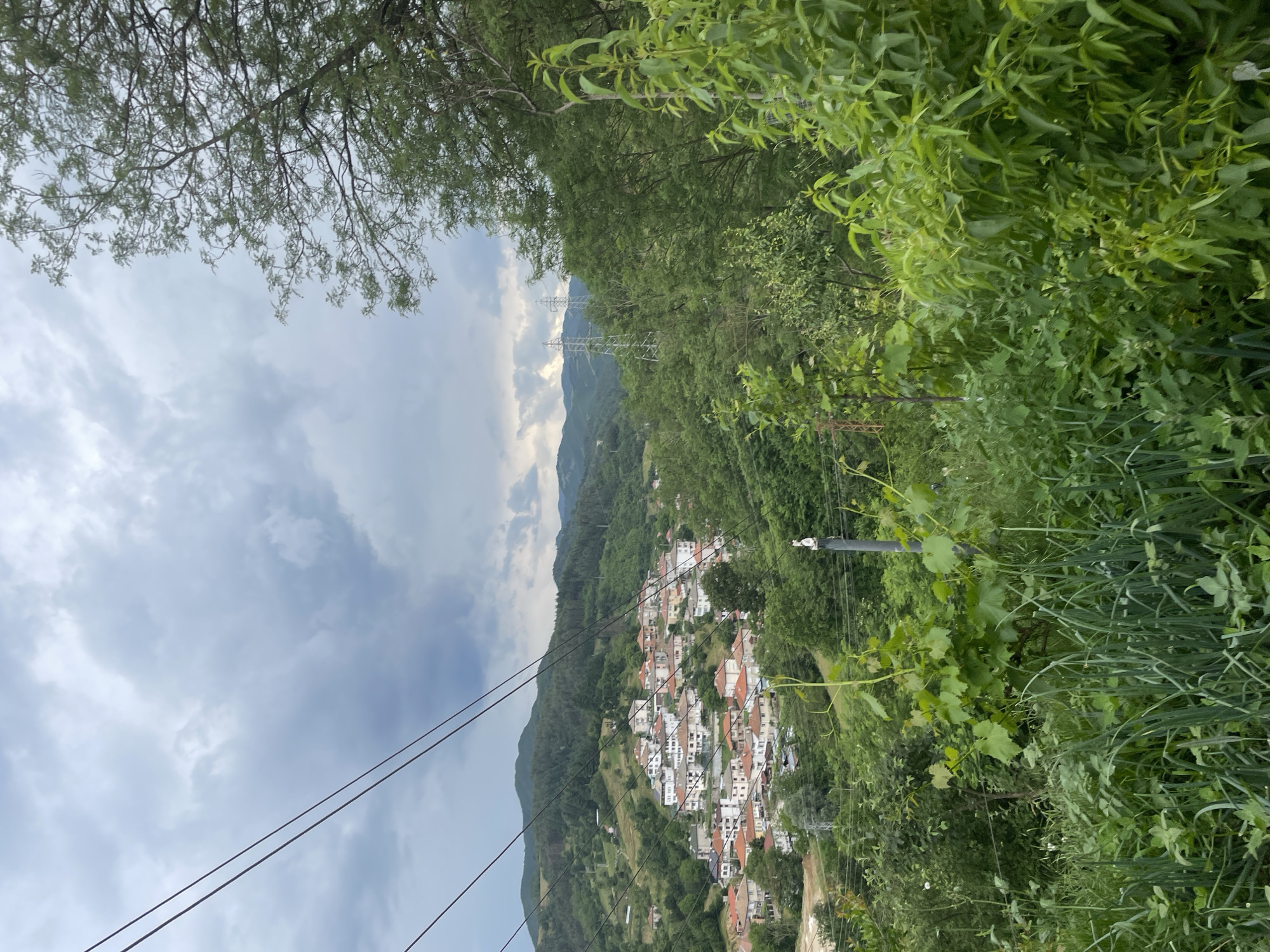 An overcast, slightly hazy day frames a view of the village of Zlatograd, Bulgaria, nestled within rolling, tree-covered hills. The village itself is composed of numerous white houses with red-tiled roofs, clustered together on the slopes. Power lines stretch diagonally across the upper left portion of the image, and several tall electricity pylons are visible in the middle ground, integrated into the landscape. The foreground is dominated by lush green vegetation, including what appears to be a vegetable patch with long, green stalks, likely onions, and various leafy plants and trees. A single pole with a decorative bird figurine stands in the mid-foreground, partially obscured by the foliage. The overall impression is one of a rural, slightly overcast day in a Bulgarian village.