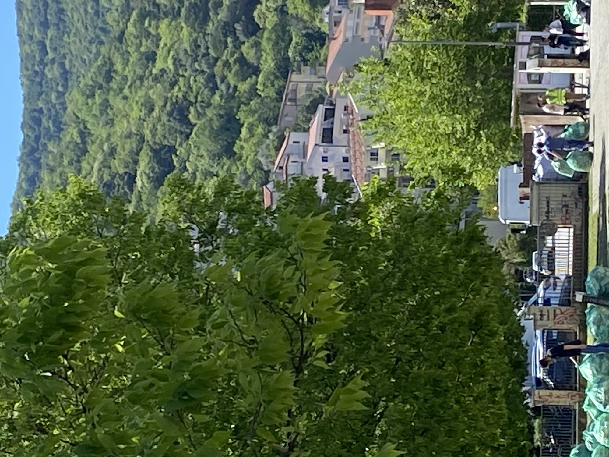 An eye-level, outdoor, day shot, rotated sideways, shows a street in Budva, Montenegro, with sanitation workers collecting trash. A forested mountain slope and buildings are in the background. A large leafy tree fills the foreground.
To the right, a street lined with wrought-iron fences has garbage bags stacked along it. Several workers wearing light clothing and vests, likely sanitation workers, are collecting the bags. A white box truck is parked nearby.
In the background, behind the tree, are buildings with tiled roofs and white walls. Further back is a dense, green mountain slope. The sky above the mountain is light blue.
