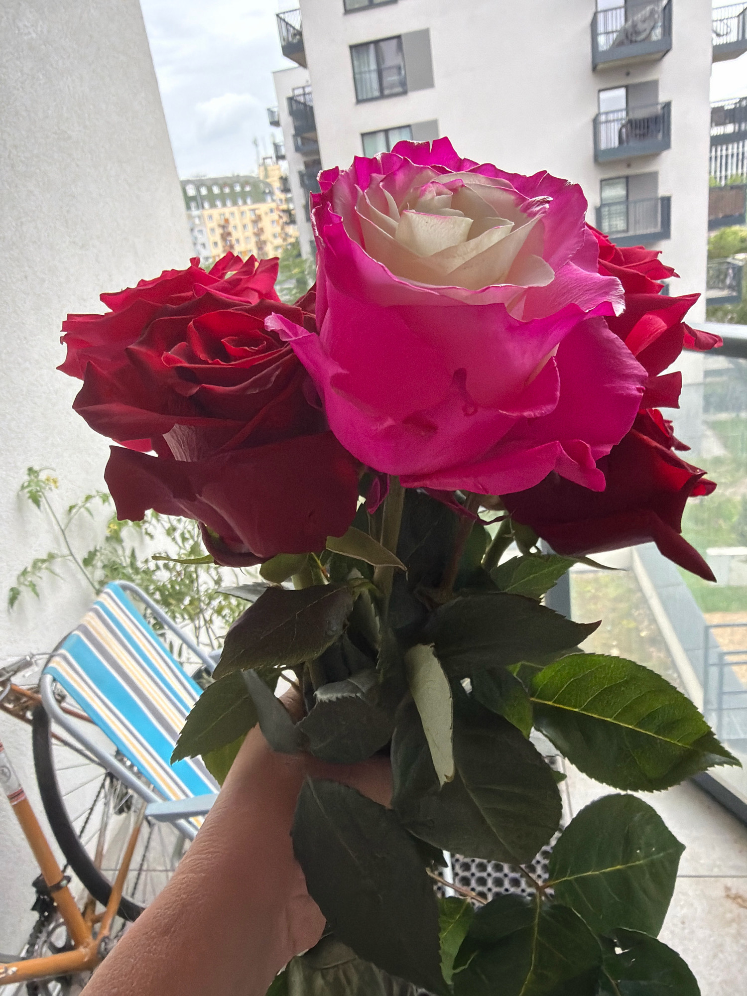 A hand holds a bouquet of roses in front of a balcony overlooking a city. The bouquet features several deep red roses and one large rose with pink-to-white petals. In the background, modern apartment buildings with balconies are visible, along with a glimpse of a striped chair and a bicycle wheel. The sky is overcast. The scene is set in the city of Wrocław, Poland.