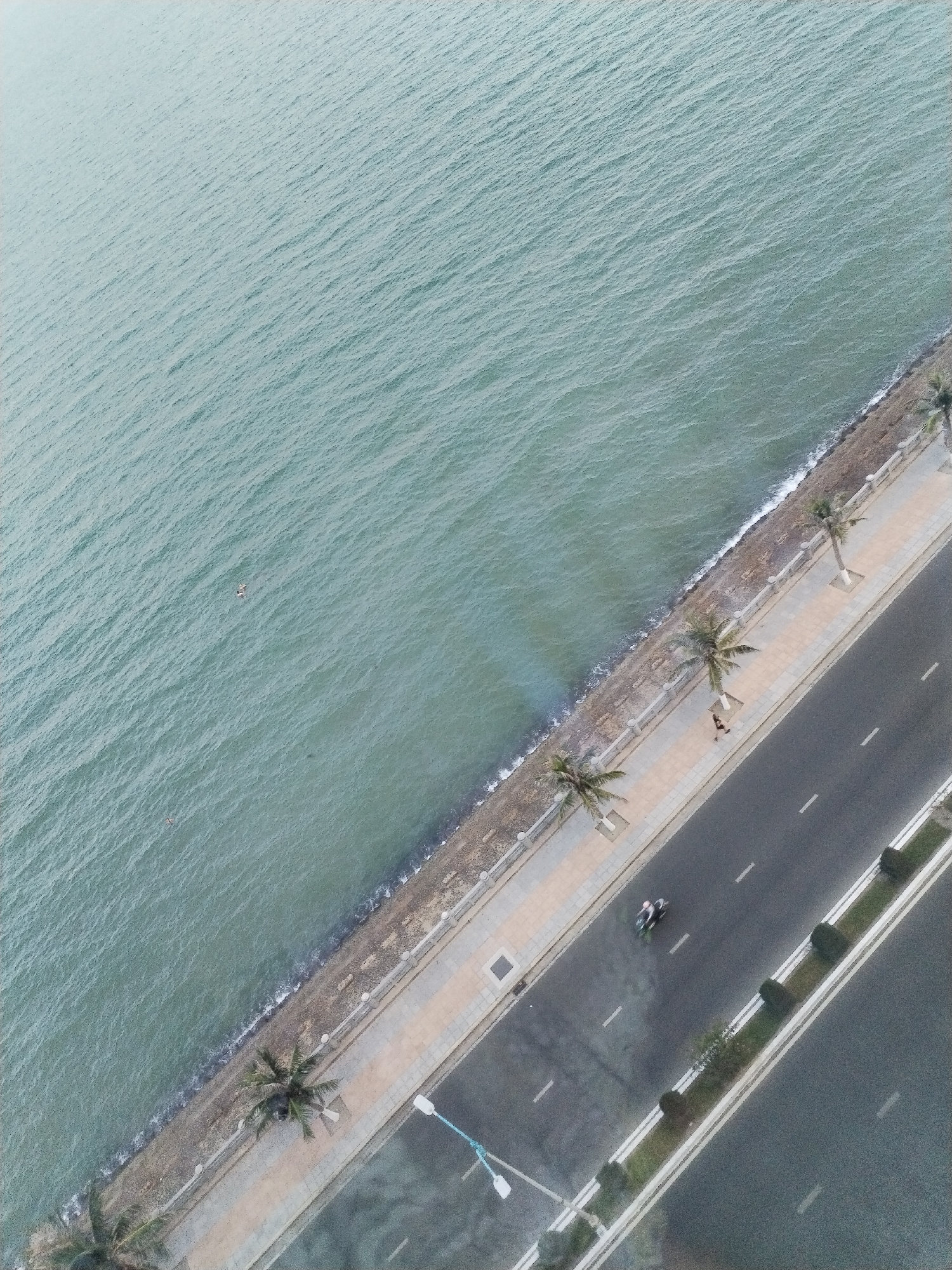 An aerial view shows the coastline of Bac Nha Trang Ward, Vietnam, featuring a road running parallel to the sea. A sidewalk separates the road from the water's edge, with palm trees planted along the sidewalk. A person is walking along the sidewalk, and a motorbike is driving on the road. The water is choppy, and waves are breaking along the shore. A street lamp stands on the sidewalk. A grassy median divides the two lanes of the road.