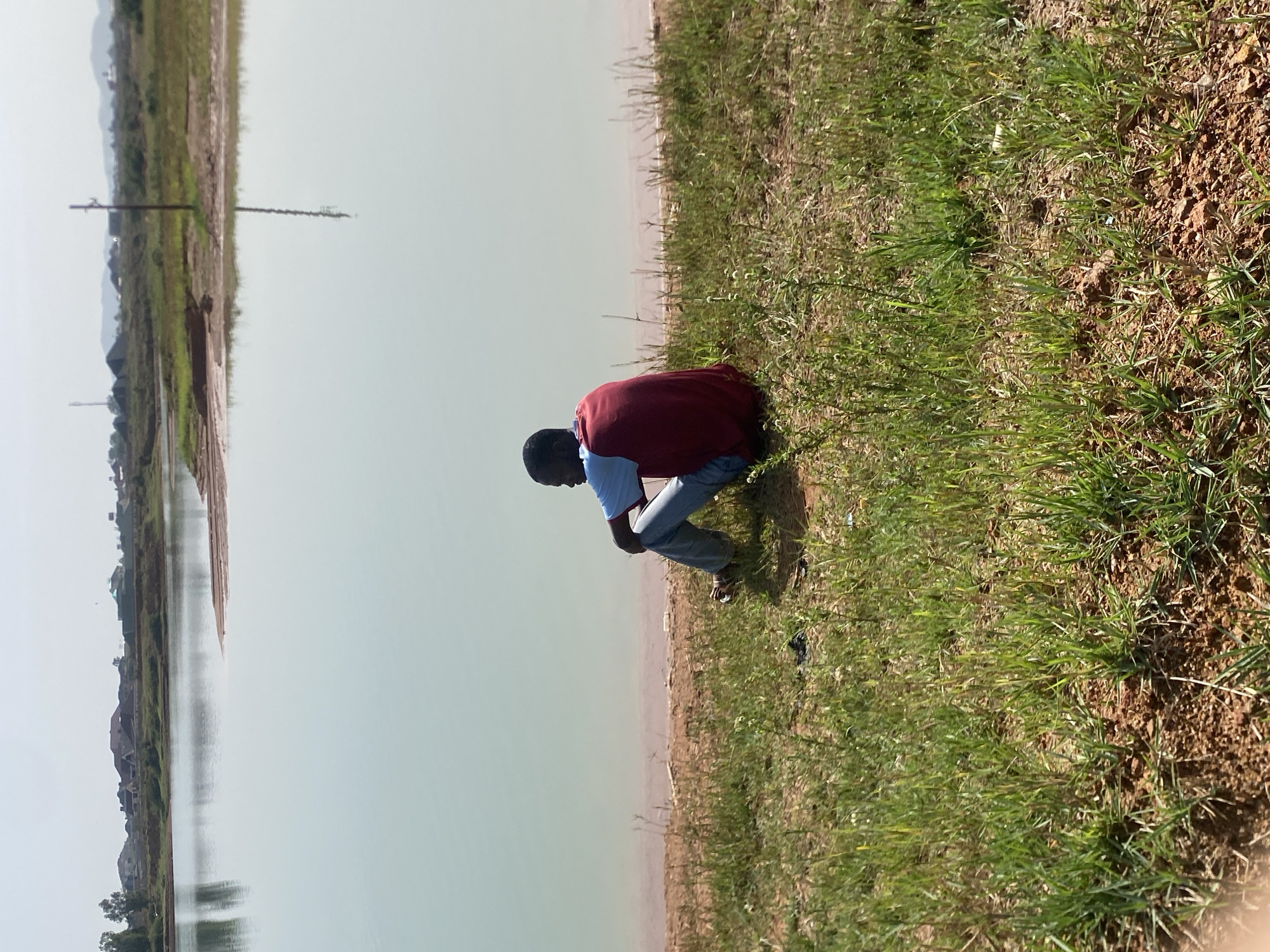 A medium shot depicts a person crouching by a body of water, situated in an open, grassy area. The person is wearing a red shirt, light blue undershirt, and blue jeans, their head positioned close to the ground. The body of water, which takes up the left half of the image, has a pale green hue. On the opposite side of the water, the land slopes upwards, featuring sparse vegetation and occasional structures. The foreground consists of a strip of grassy terrain that extends from the right edge to the shoreline. The environment appears natural, with a clear sky overhead. The location is Unknown, Unknown.