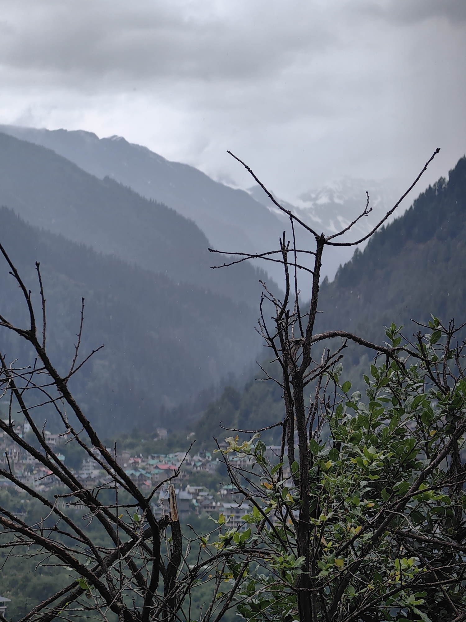 The image depicts a mountainous landscape with a village nestled in the valley below, under a cloudy sky. In the foreground, bare branches of a tree, some with a few green leaves, frame the scene. In the midground, a town with multi-colored rooftops is visible, characteristic of the architecture in Vashisht, India. The background consists of layered, misty mountains, with the highest peaks possibly snow-capped. The atmosphere is overcast and appears to be raining lightly, with visible streaks of rain in the air. There are no people or animals visible in the image. The overall impression is one of a serene, natural environment with human habitation integrated into the landscape.