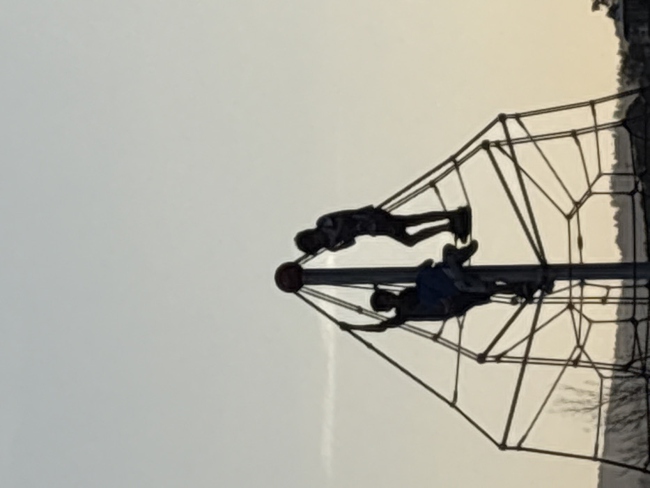 Two children are playing on a climbing structure with a central pole. The structure is constructed of interconnecting metal bars forming a dome shape. The first child, dressed in a dark shirt and shorts, hangs from the top of the structure. Below, the second child, wearing a blue shirt, dangles. The background is a light, washed-out sky, with hints of trees visible on the right-hand side. The overall image appears to be taken during late afternoon or early evening.