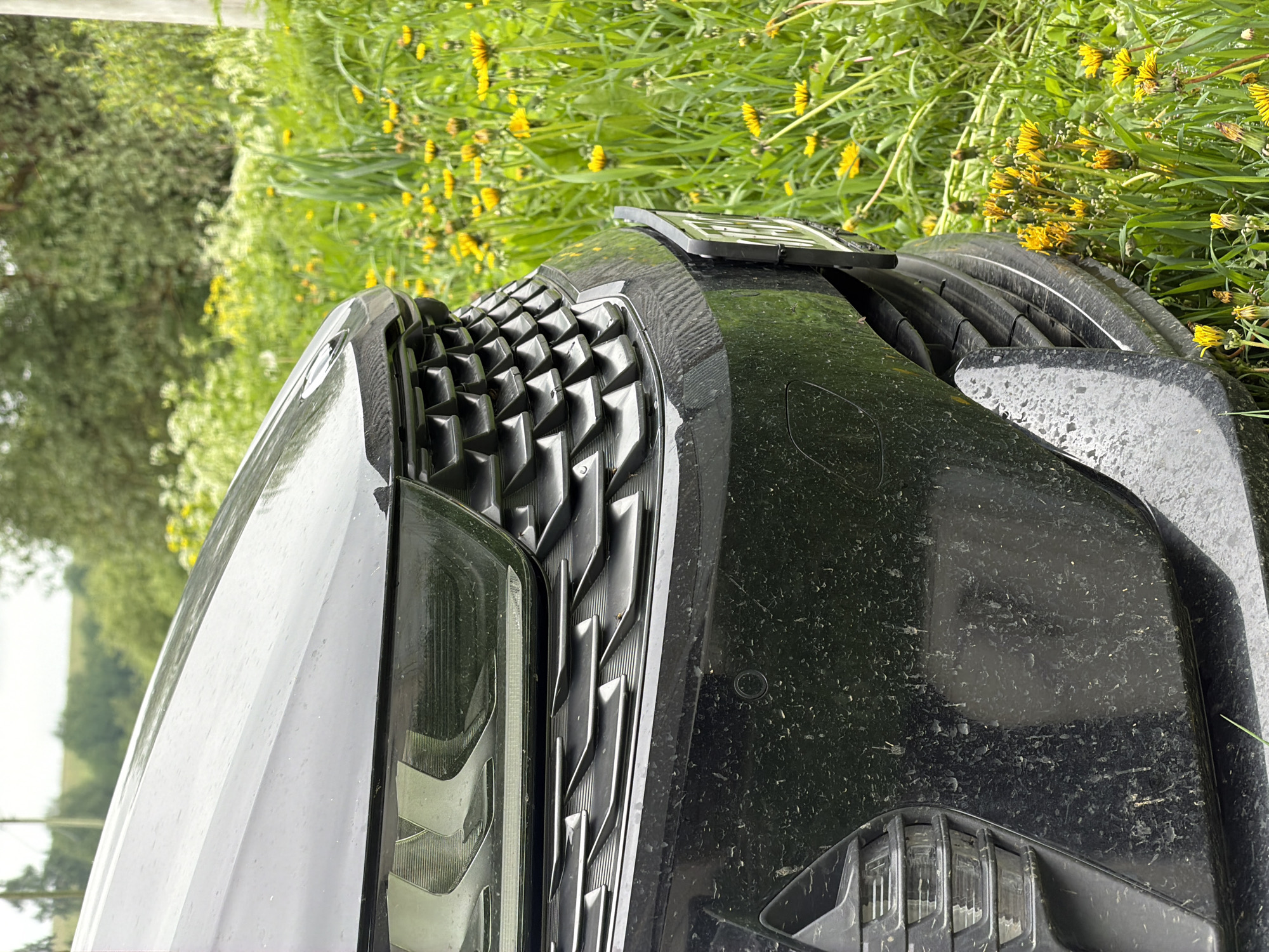 The image captures a close-up of the front section of a black car, positioned next to dense green vegetation, likely in Marakushi, Russia. The car appears stationary, with its grille, part of a headlight, and bumper in focus. The background is dominated by lush green grass and numerous bright yellow dandelions, suggesting a springtime or early summer setting. Further back, out of focus, are taller green trees.

The car's surface is noticeably dirty, covered in water spots and specks of mud or dust, indicating either recent rain or driving through dusty/wet conditions. The grille features a distinctive, modern, geometric pattern. A portion of the car's headlight is visible on the left side of the frame. Above the grille, there is an empty or unreadable license plate holder.

The lighting is natural and bright, consistent with daytime, possibly under an overcast sky. The image itself is rotated 90 degrees counter-clockwise, making the horizon appear vertical. No discernible text is visible anywhere in the frame.