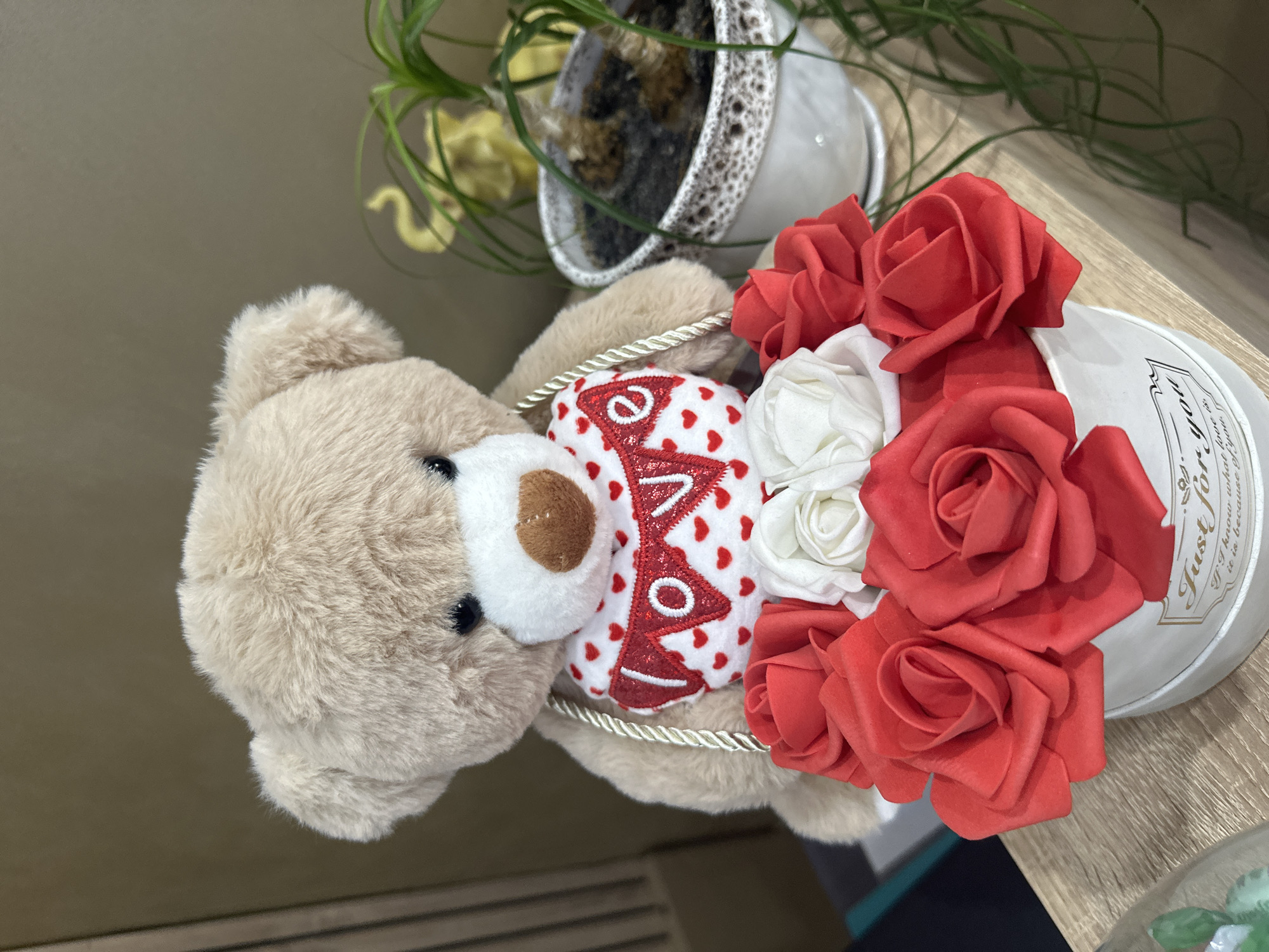 A fuzzy, light brown teddy bear is positioned horizontally, holding a white heart adorned with red hearts and the word "LOVE" in red. The bear is grasping a white round container filled with red and white artificial roses. The container has text on it that reads "Just for you". The scene appears to be indoors, on a wooden surface, possibly a table. In the background, a potted plant with green foliage and a decorative pot is visible. The lighting is soft, suggesting an indoor setting during the day. The overall presentation evokes a sense of affection and gifting, likely for an occasion like Valentine's Day.