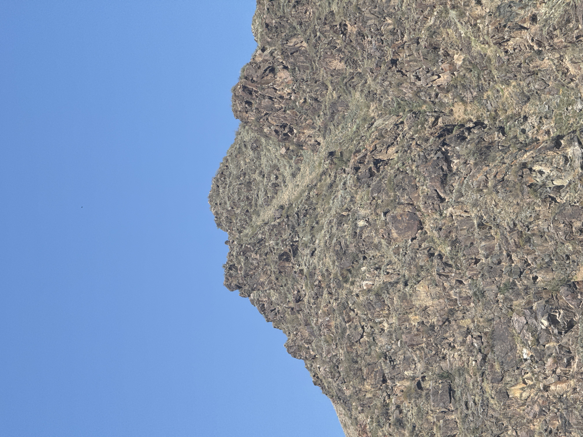 A rugged, rocky mountain peak dominates the frame against a clear, bright blue sky. The mountain's surface is a textured mosaic of dark brown and gray rocks, interspersed with sparse patches of dry, pale green vegetation. The terrain appears steep and uneven, with visible crevices and sharp inclines. The upper portion of the mountain is more intensely rocky, while the lower slopes are slightly less dense with vegetation. A single, small, dark speck, possibly a bird, is visible in the upper left quadrant of the sky. The scene is devoid of any human presence, structures, or signs of modern development, suggesting a natural, remote environment. The image captures a section of a mountain in the vicinity of Sasyk-Bulak, Kyrgyzstan.