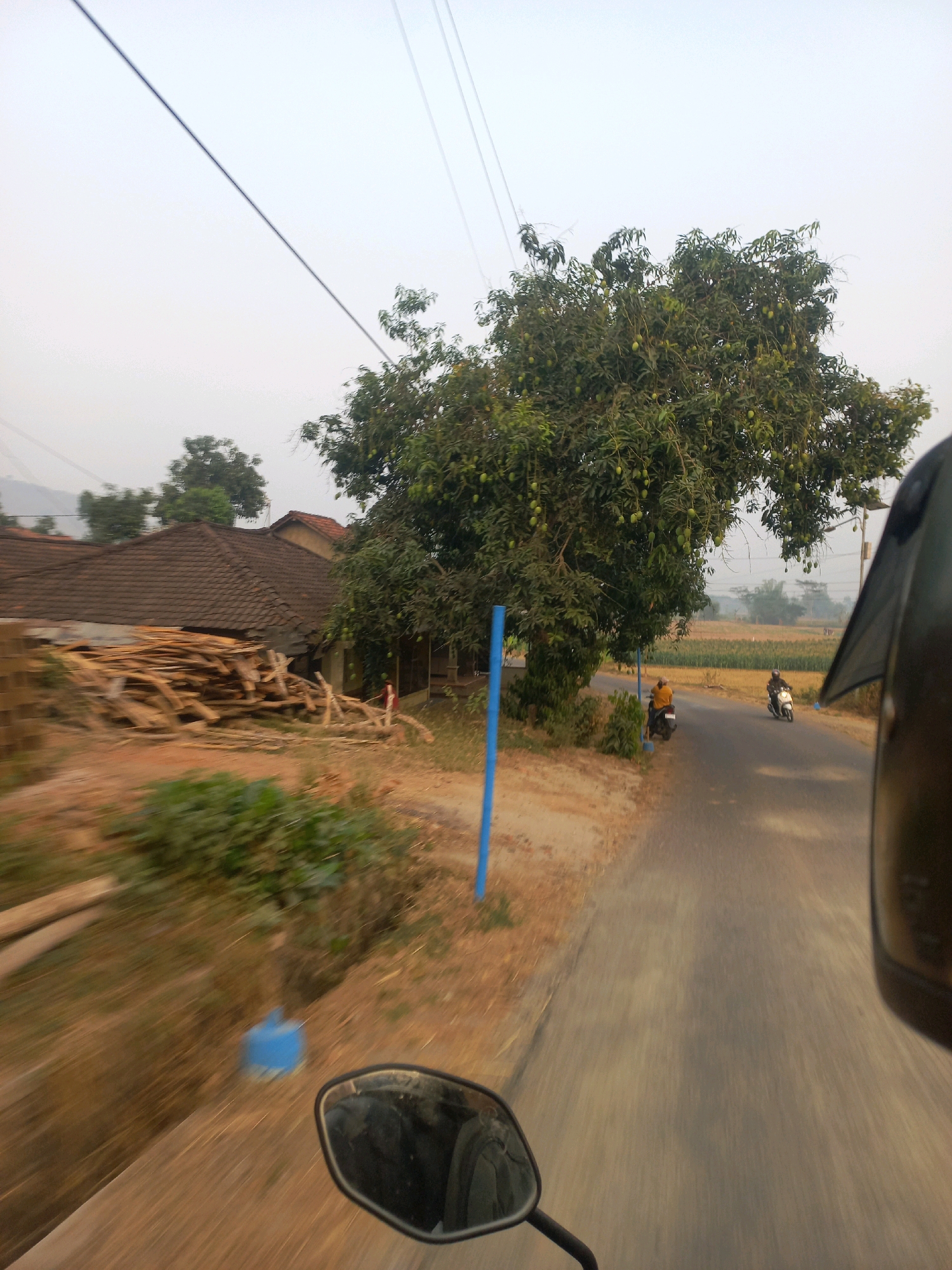 The image depicts a rural road scene in Sukoharjo, Indonesia. On the left side of the road, a tiled-roof building with a pile of wooden planks in front of it is visible, along with a large tree laden with green fruit. The road itself is paved and appears to be in moderate condition, with a slight blur indicating movement, suggesting the photo was taken from a moving vehicle. Two individuals are seen on motorcycles on the road. One is riding a white scooter, and another is on a yellow motorcycle. The environment is characterized by a hazy sky, suggesting it might be early morning or late afternoon, or due to air pollution. Power lines stretch across the upper portion of the image, typical of rural Indonesian landscapes. In the foreground, a motorcycle's rearview mirror is visible, further confirming the vantage point of the photographer. The overall impression is one of a typical day in a rural Indonesian setting, with everyday activities and infrastructure.