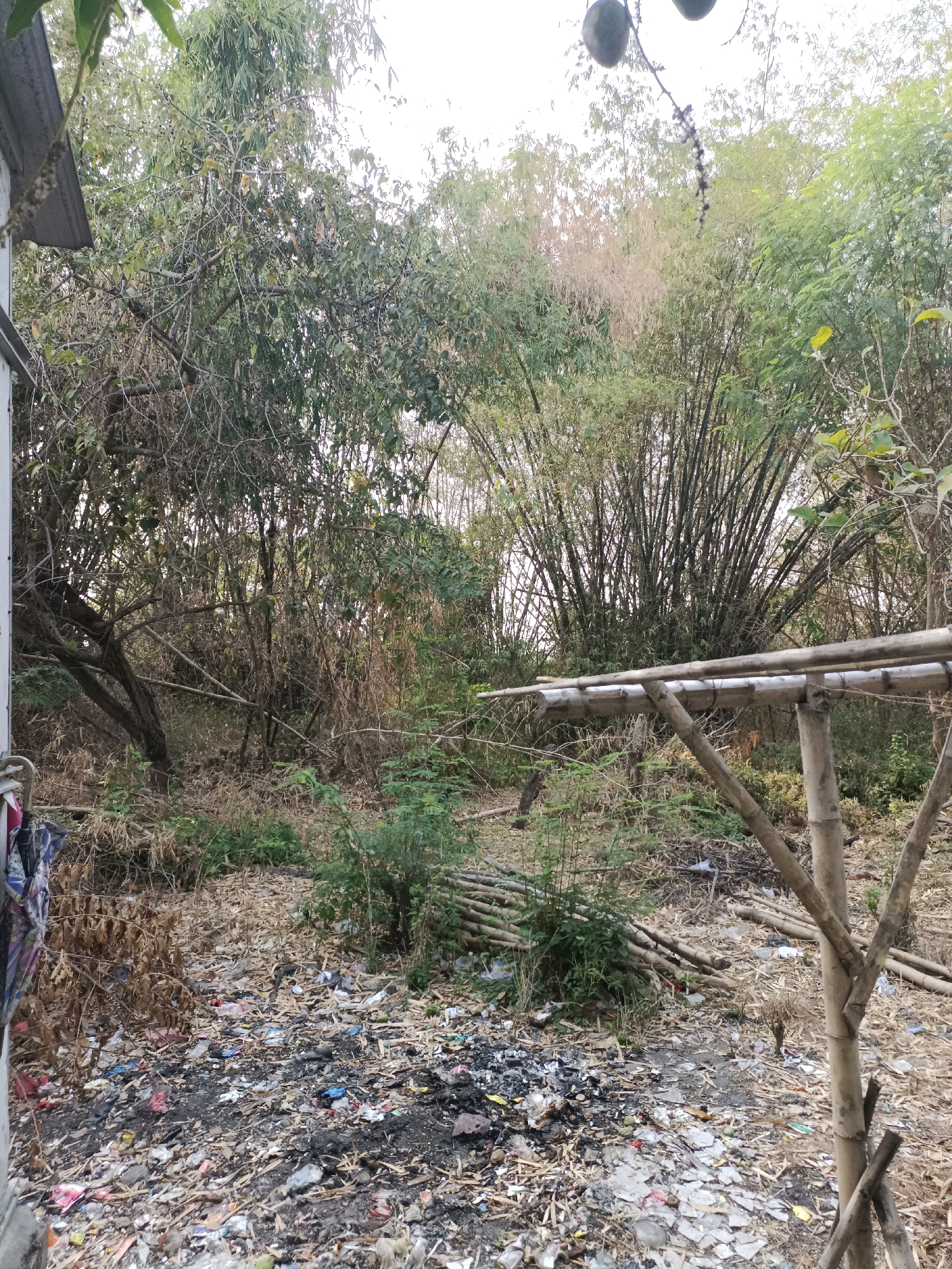 The image depicts an outdoor scene in a densely vegetated area, possibly on the outskirts of Rancang Kencono, Indonesia, characterized by a significant amount of debris and waste. In the foreground, a thick layer of dry leaves and refuse covers the ground, interspersed with colorful plastic fragments, charred materials, and other assorted litter. A makeshift structure constructed from bamboo poles is partially visible on the right, suggesting human presence or activity. Beyond the immediate foreground, a dense grove of bamboo dominates the mid-ground, its tall, slender stalks creating a wall of vertical lines. The background is filled with a mix of leafy trees and more bamboo, with some dry vegetation visible. The sky is overcast or bright, washing out the upper portion of the image. The overall impression is one of neglect and environmental degradation.