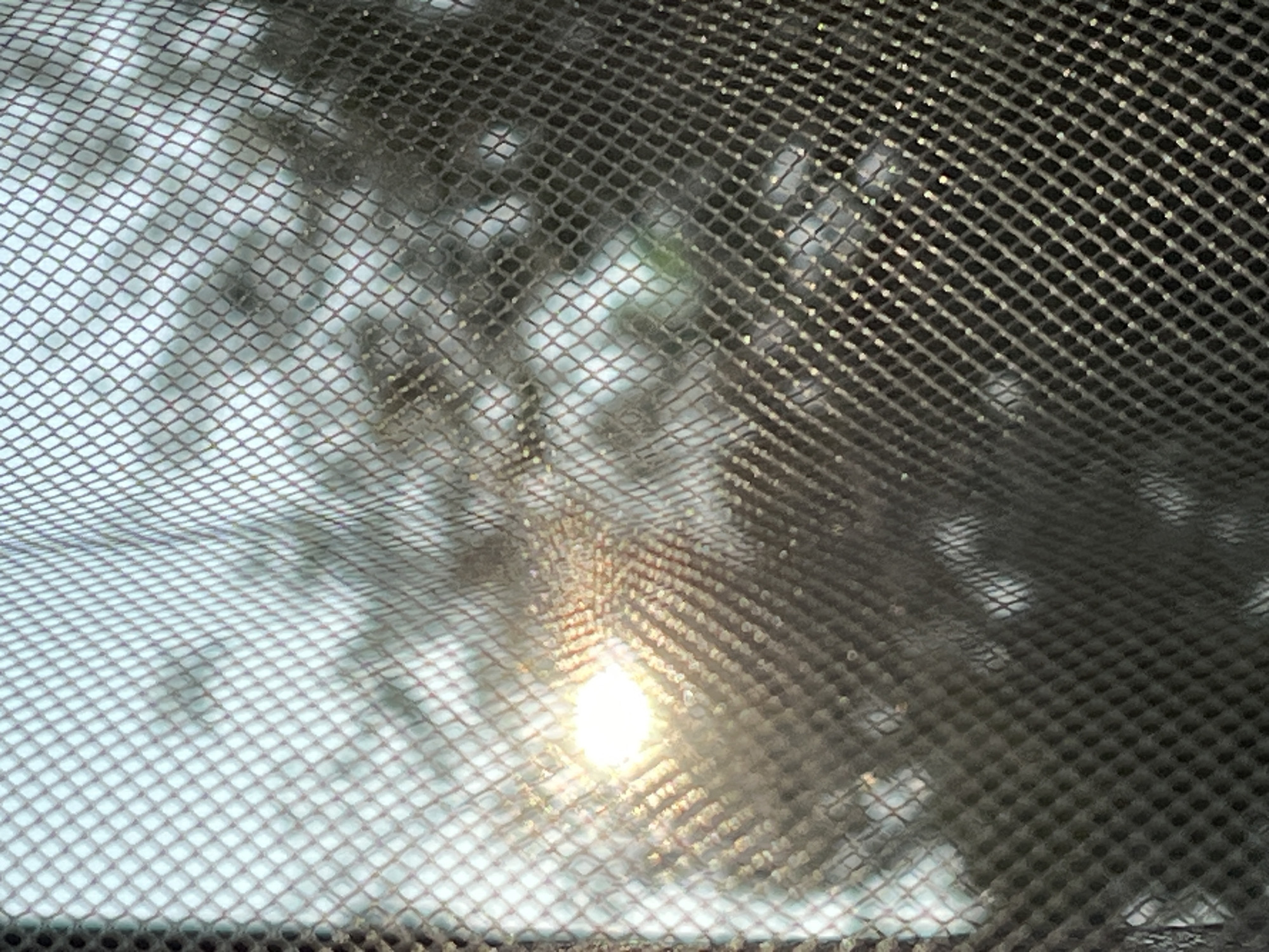 The image is a close-up shot of a dark-colored mesh screen, possibly a mosquito net or a window screen, against a blurred background of trees and sunlight. The sun appears as a bright, white-yellow orb in the upper left quadrant of the image, its light diffusing through the mesh and creating a halo effect. The mesh itself has a diamond pattern, and its texture is visible, with some areas appearing more in focus than others. Shadows of tree branches are cast onto the background, creating a dappled effect. The overall impression is one of looking through a screen at an outdoor scene, with the bright sunlight being the dominant light source. There are no people or specific identifiable objects in the scene. The location in Warsaw, Poland, cannot be determined from the visual information provided in the image.