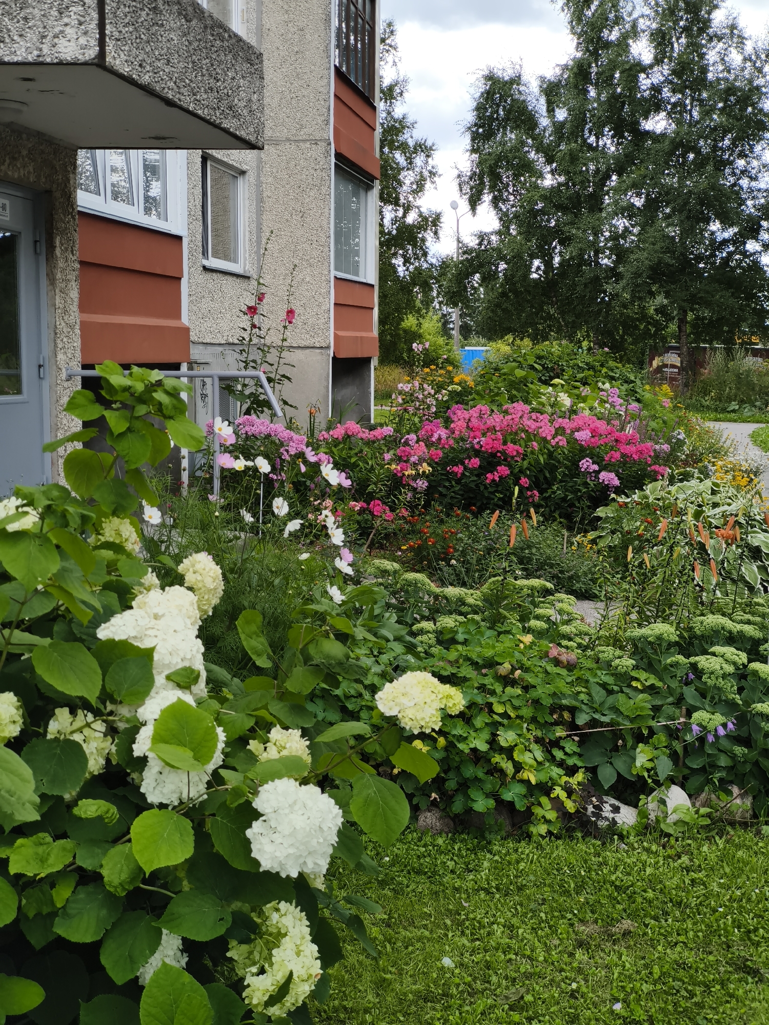 The image depicts a vibrant flower garden in front of a residential building in Tallinn, Estonia. The building appears to be a multi-story structure with a textured concrete facade and reddish-brown trim. A gray door is visible on the left side of the building. The garden is lush and abundant with various flowers, including large white hydrangeas in the foreground, clusters of pink phlox, white cosmos, and smaller pink and orange flowers further back. Green foliage and grass surround the flowers. Tall trees are visible in the background, and a cloudy sky completes the scene. No people or animals are present.