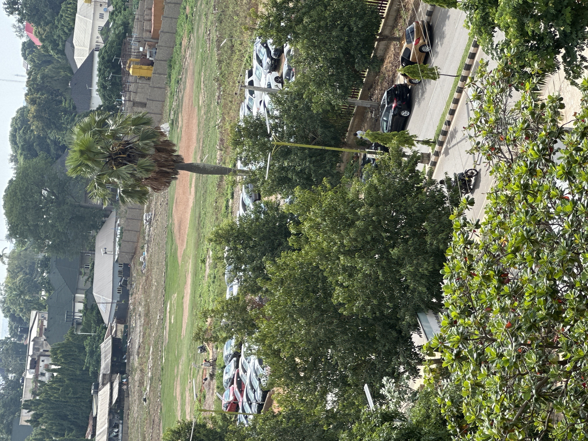 This is a high-angle, vertical outdoor shot of a scene that appears to be a residential or commercial area with a road, parking lot, buildings, and vegetation. The time of day seems to be daytime, with bright lighting casting shadows, suggesting clear weather.
In the foreground, lush green trees dominate the right side of the frame, with some red berries visible on the branches of a tree in the lower right corner. To the left, a tall palm tree stands prominently, its fronds spread wide. Beyond the palm tree, a grassy field stretches out, with some reddish-brown soil visible in patches. Further in the distance, there are various buildings, some appearing to be houses with pitched roofs, while others are more modern structures. Construction appears to be ongoing in some areas, with visible building materials and incomplete structures.
A road runs along the right side of the frame, bordered by a striped curb and a wooden fence. Several vehicles are parked along the road and in what appears to be a parking lot area to the left. These include a black car, a gold car, and a motorcycle. A cluster of cars, mostly white and silver, are parked in a row further down the lot. A single person in white clothing is visible near the parked cars.
The scene suggests a developed area with some open spaces, possibly a neighborhood or a mixed-use development in Shaba, Nigeria. The overall atmosphere is one of everyday activity, with no strong indication of any specific event. There is no visible text in the image.