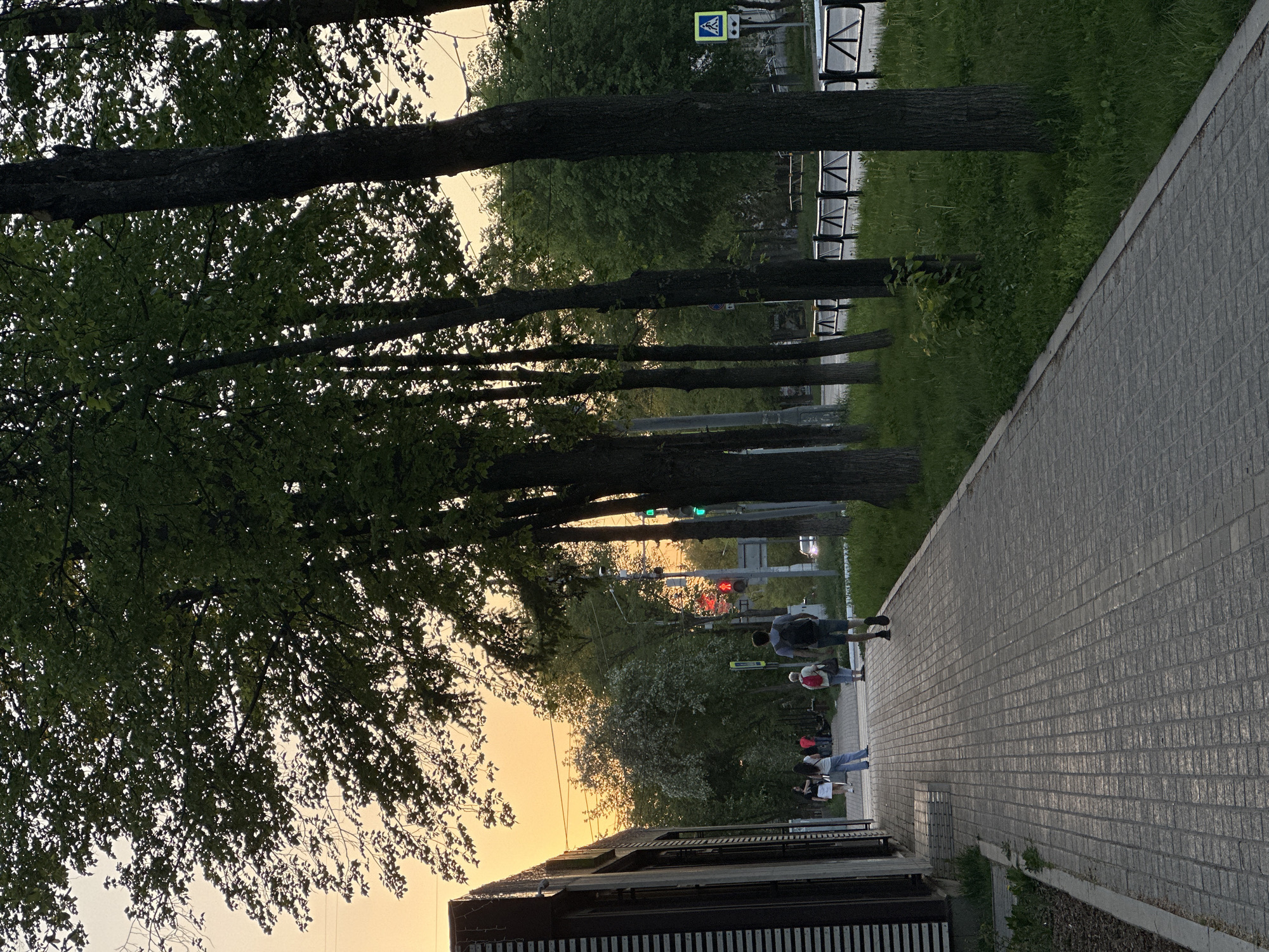 The image captures a street scene in the city of Chaikovsky, Russia. The sky is a gradient of orange and yellow, indicating either sunrise or sunset. A row of tall trees lines the left side of the image, their trunks running parallel to the paved walkway on the right. Patches of green grass grow between the trees and the walkway, and behind the trees is another row of trees. Several people are walking on the walkway. A building is visible in the lower left corner of the image. In the background, a pedestrian crossing sign is visible. A traffic light is also visible, displaying both red and green lights. The walkway itself is made of grey rectangular paving stones. A metal fence is present next to the greenery.
