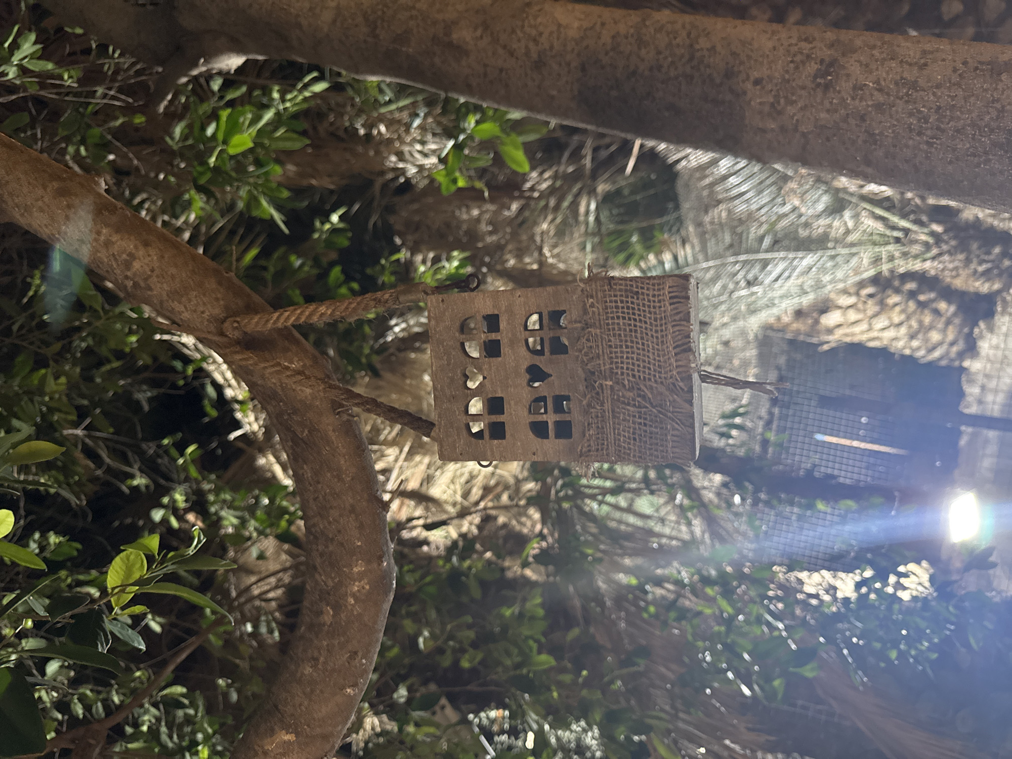 A decorative, wooden birdhouse shaped like a small house is hanging from a tree branch by a rope. The birdhouse has windows with heart shapes cut out. It is surrounded by lush green foliage and the trunks of several trees. The lighting suggests it is nighttime, with a bright light source visible in the lower left portion of the image, illuminating some of the leaves and casting a beam upwards. The scene is likely outdoors in a park or garden setting.