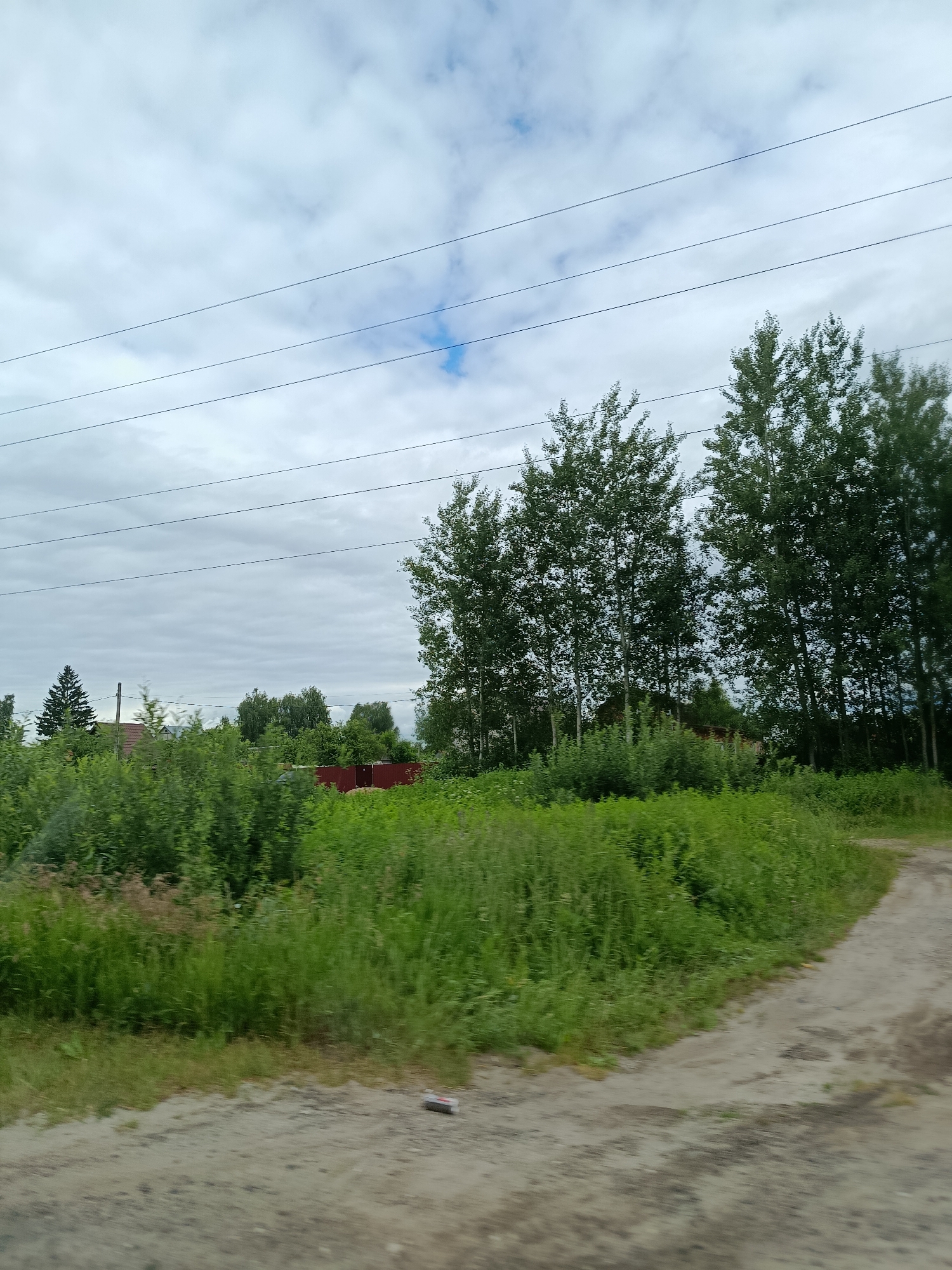 This is a photograph taken in Тополиный, Russia, showing a rural landscape under a cloudy sky. The scene is dominated by lush green foliage and tall trees, with a dirt road winding through the foreground. In the distance, there are hints of human habitation, including red-roofed buildings and a red metal fence, suggesting a village or scattered homesteads. Several power lines crisscross the sky, indicating the presence of infrastructure.
The weather appears overcast, with a mix of gray clouds and a few patches of blue sky. The time of day is not explicitly indicated, but the lighting suggests it could be midday or late afternoon. The overall impression is one of a serene, natural environment with signs of rural life. There are no people or explicit activities depicted in the image, but the presence of the road and buildings implies human presence and daily life. No visible text is present in the image.