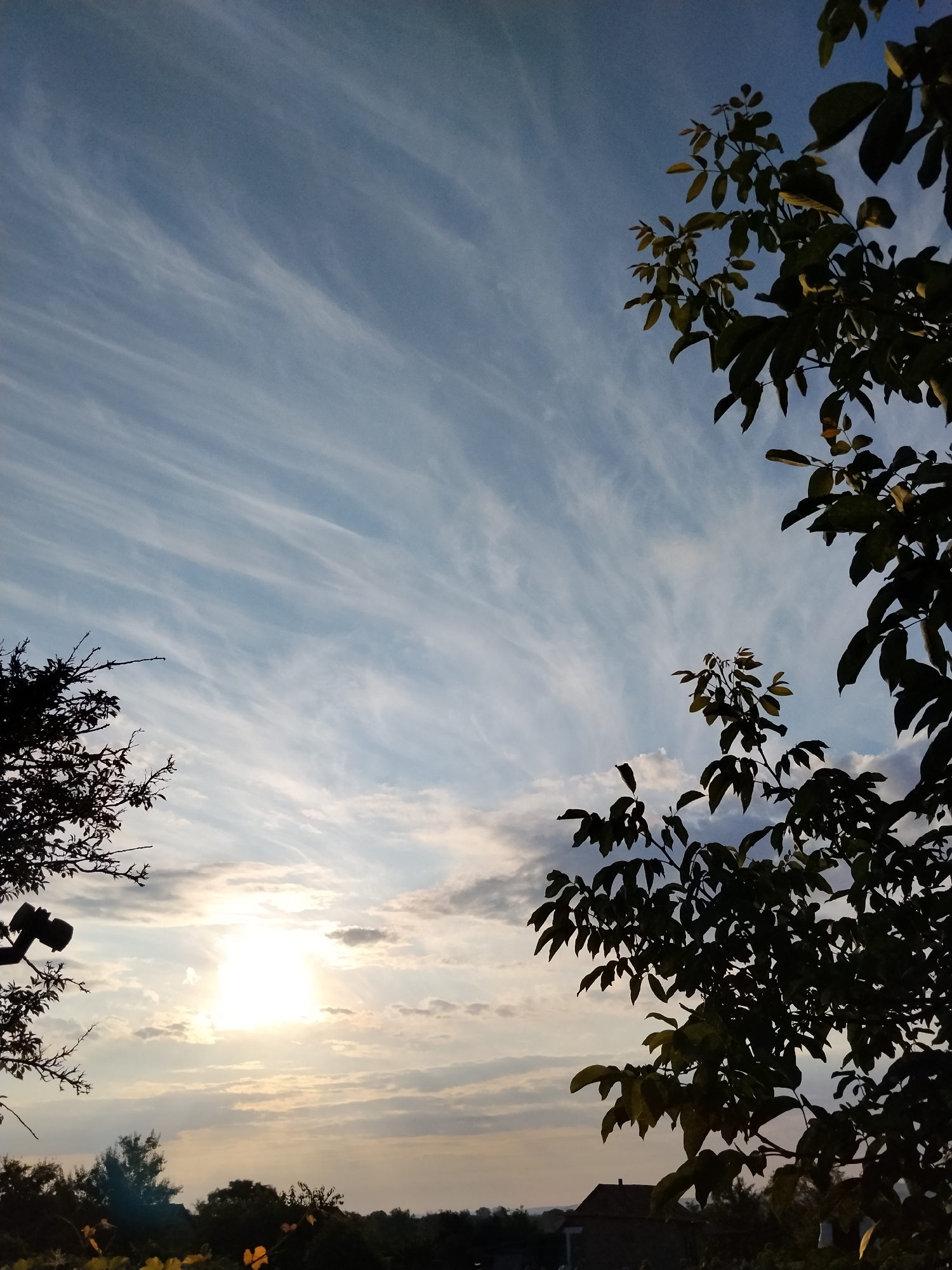 The image depicts a sunset scene in the city of Ustyvytsia, Ukraine. Silhouetted trees frame the sky, which is dominated by wispy, streaky clouds in shades of blue and white. The sun, a bright white disc, is partially obscured by thin clouds and low-lying hazy clouds near the horizon. A dark object, possibly a security camera, is visible on a branch in the lower left portion of the frame. In the distance, the tops of trees and a building with a reddish-brown roof can be seen against the fading light. The overall impression is one of a tranquil, natural landscape at dusk.