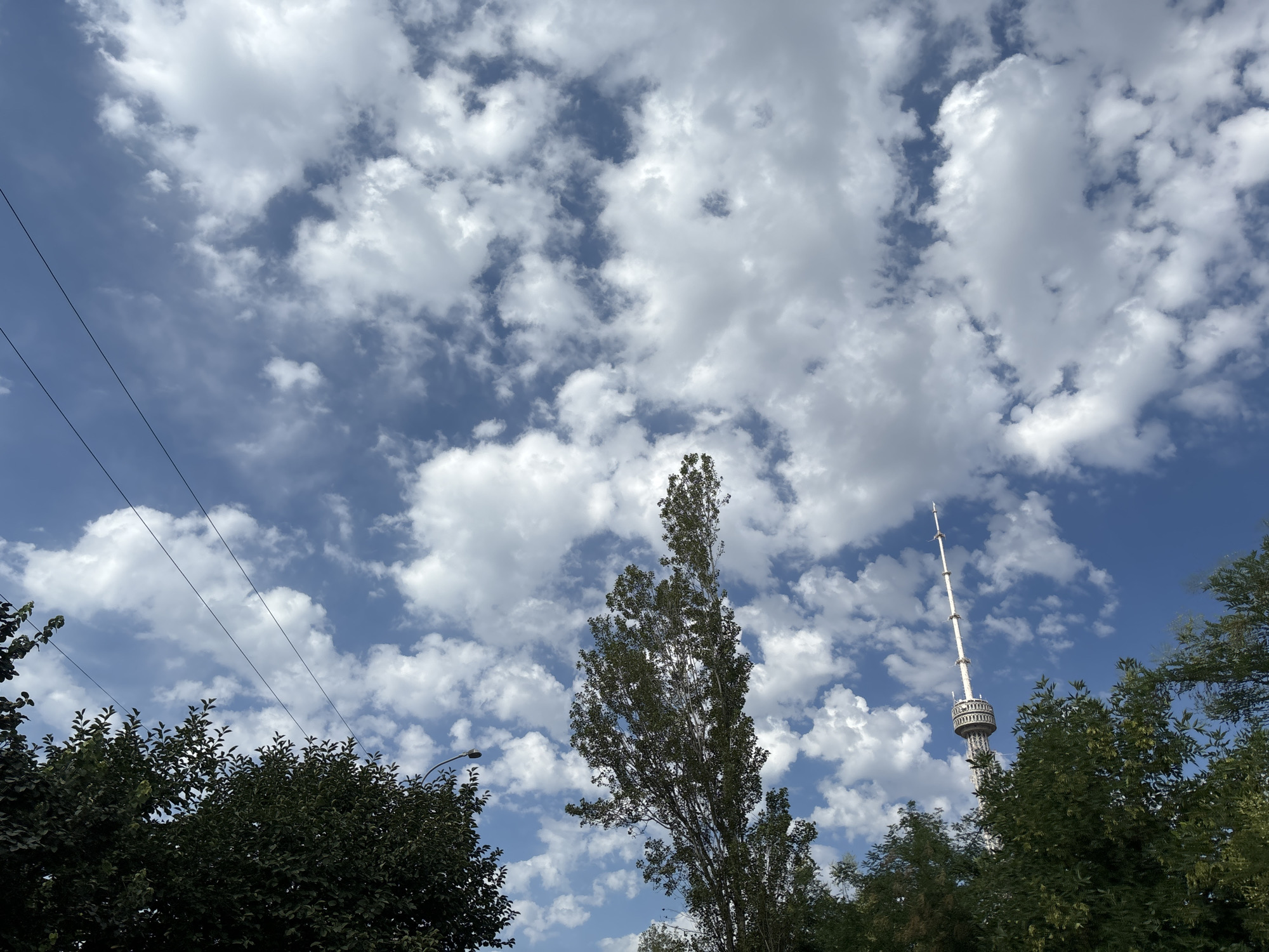 The image shows a view of the Tashkent TV tower against a blue sky with scattered white clouds. The tower, a prominent landmark in Tashkent, Uzbekistan, is a tall, slender structure with a distinctive observation deck. In the foreground, several trees with dark green foliage partially obscure the view of the tower. Power lines are also visible stretching across the sky. The overall impression is of an urban landscape on a bright, partly cloudy day.
