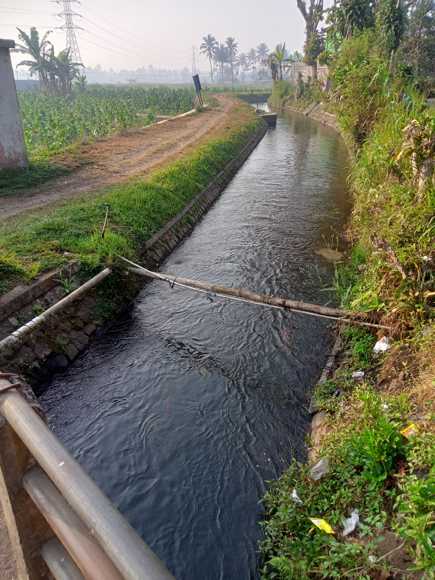 A man-made canal filled with dark, rippling water flows diagonally from the upper right to the lower left of the frame. The canal is bordered by concrete walls on both sides. The left bank is lined with dry grass and dirt, with a path running alongside it, bordered by a field of green crops, possibly corn, stretching into the distance. Tall power pylons and palm trees are visible on the horizon. The right bank of the canal is overgrown with lush green vegetation and some dry brush. Several pieces of trash, including plastic wrappers and bags, are scattered among the plants. A makeshift bridge made of two wooden logs spans the canal midway down the frame, secured by ropes. In the foreground on the left, a concrete structure with metal railings is visible, likely a bridge or overlook. The overall scene depicts a rural or semi-rural area in Sruwen, Indonesia, with agricultural land and a functional water channel.