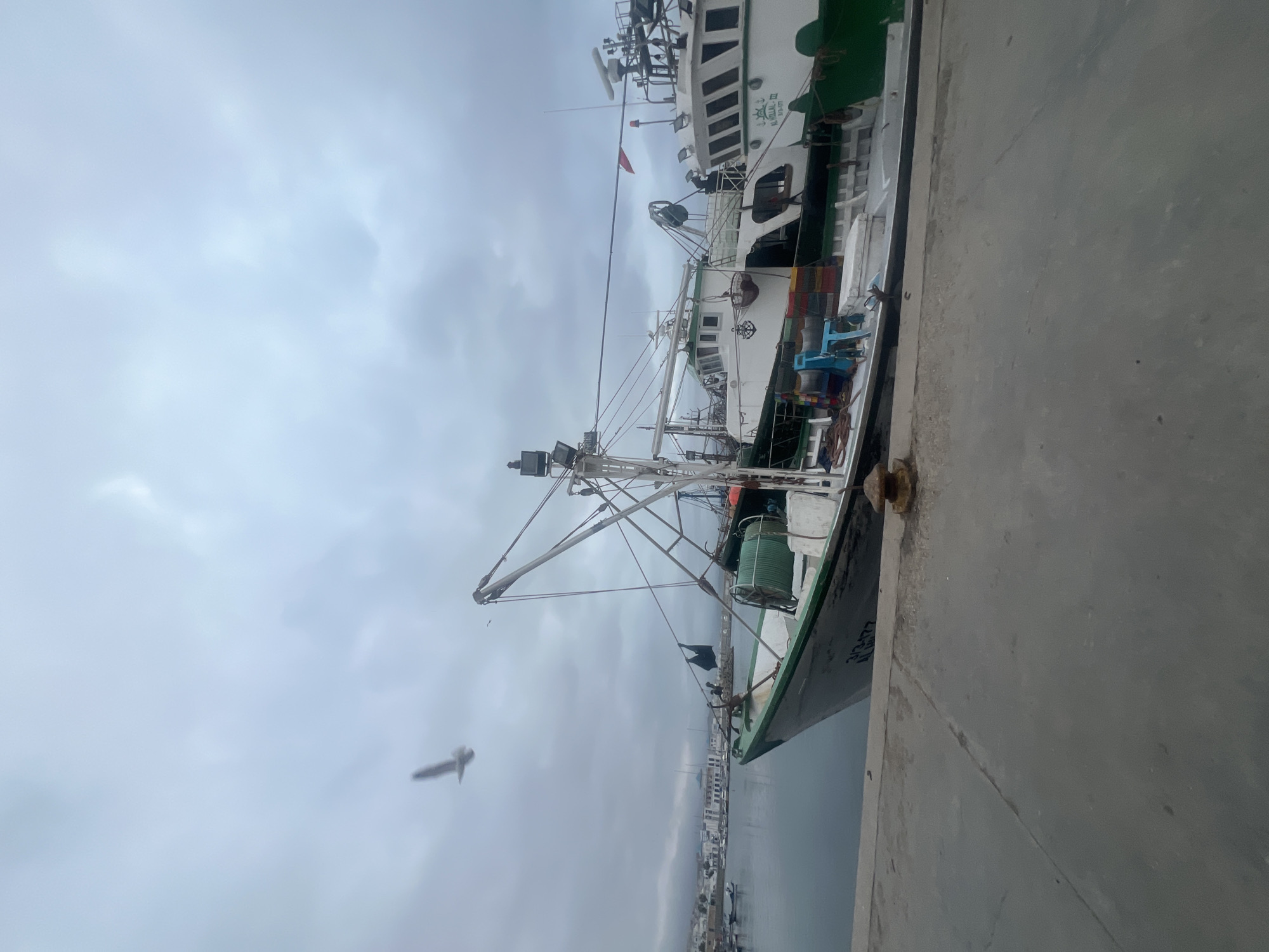 A medium shot depicts a docked fishing vessel in the port of M'Diq, Morocco. The boat is white with green accents and features a crane. Other boats are visible in the background. A seagull flies in the foreground against an overcast sky. The boat is docked alongside a concrete pier.