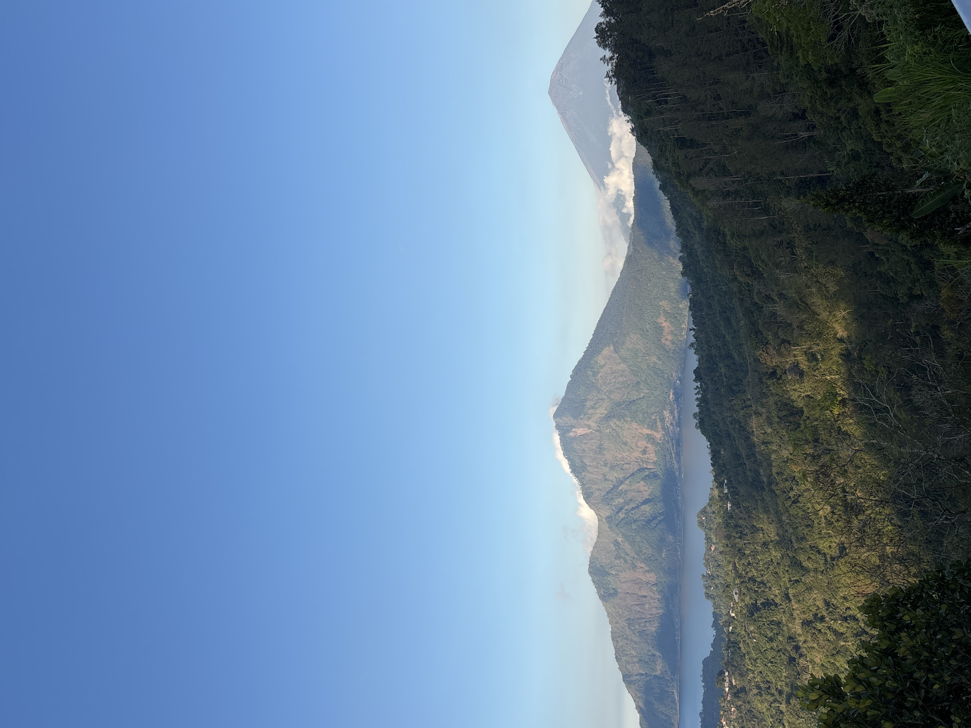 The image depicts a panoramic view of the Batur Geopark area in Kintamani, Indonesia, under a clear blue sky. In the foreground, a dense, green forest covers a steep hillside, with some trees casting shadows. Beyond the forest, a large, calm lake, Lake Batur, is visible. Across the lake, two prominent mountains dominate the horizon. The mountain on the left is Mount Batur, a stratovolcano with visible slopes and some patches of vegetation. The mountain on the right is Mount Agung, another stratovolcano, appearing larger and more distant, with its summit partially obscured by clouds. The overall scene conveys a serene and natural landscape.