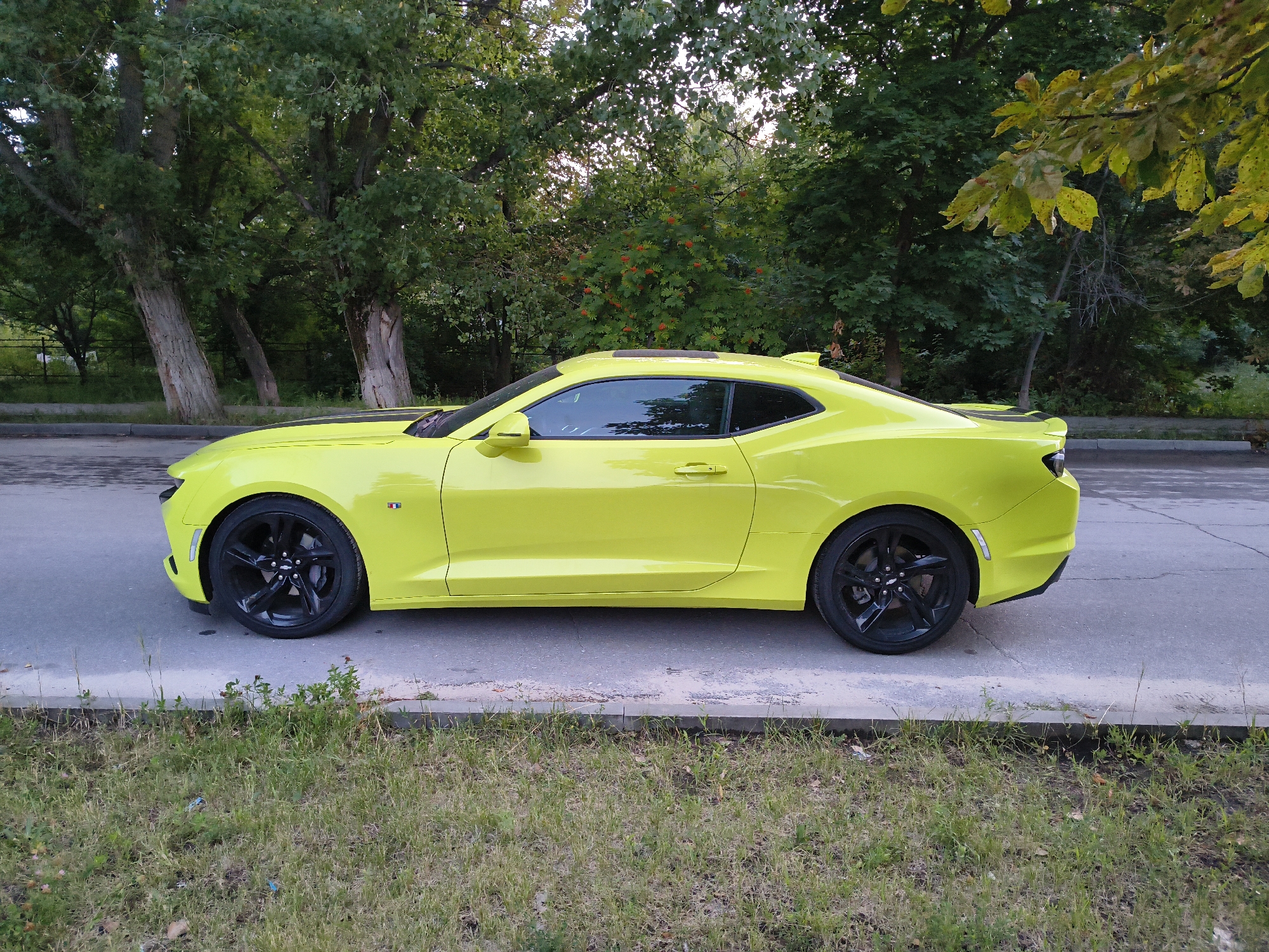A bright yellow Chevrolet Camaro is parked on the side of a road in Mikhaylovka, Russia. The car is positioned sideways, facing right, with its front wheels slightly turned. The vehicle has black rims and a black stripe running along the hood. Behind the car, a dense canopy of green trees with some yellowing leaves forms a natural backdrop, suggesting it might be autumn. The ground on the left of the car is covered in green grass and some dirt. The road surface appears to be asphalt. There are no people visible in the image. The sky is not clearly visible, but the lighting suggests it is daytime with overcast conditions or late afternoon.