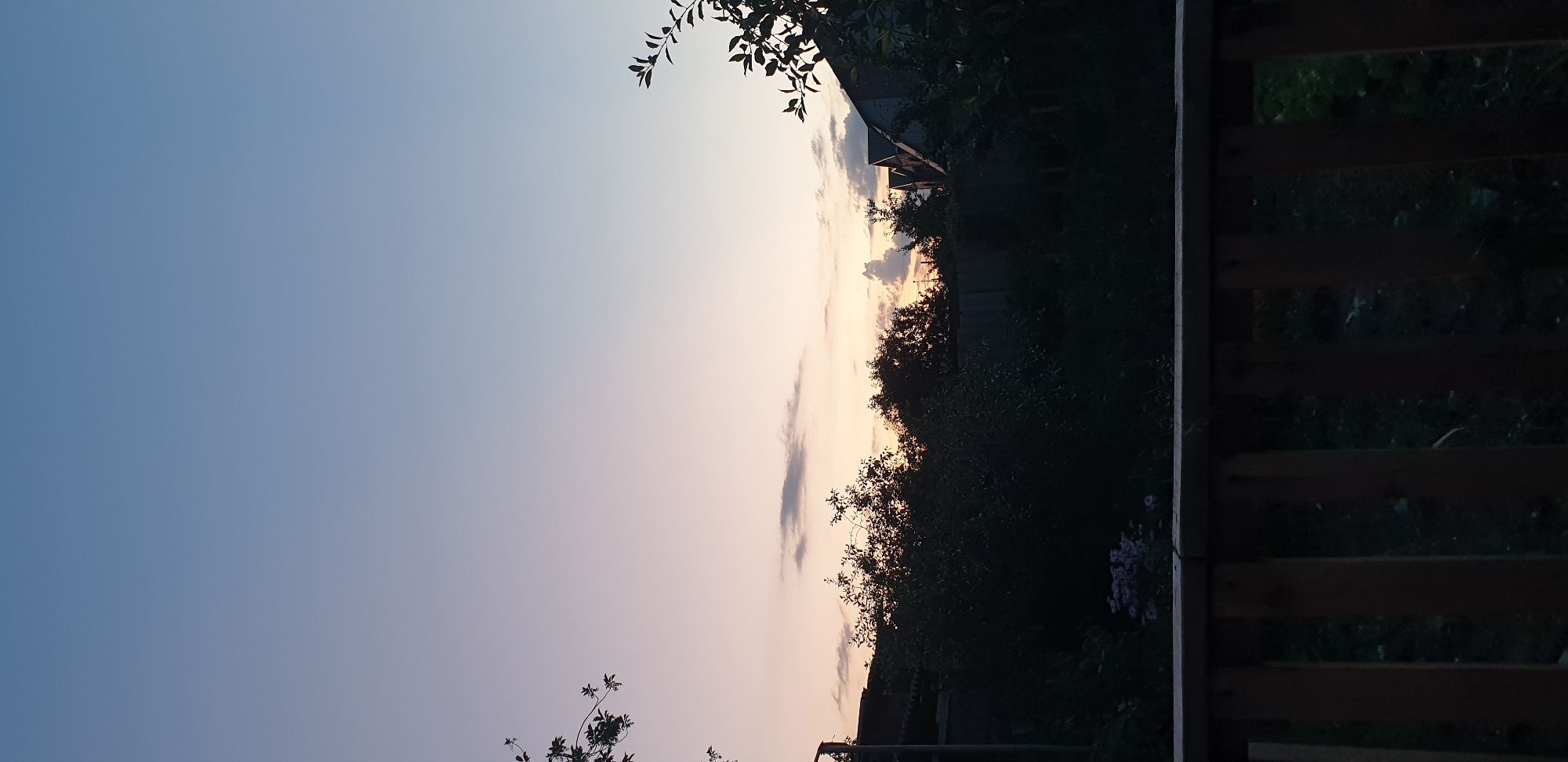 The image captures a twilight scene, likely in Kostanay, Kazakhstan. A wooden fence dominates the foreground, obscuring the lower half of the view. Beyond the fence, dense dark foliage stretches across the midground, interspersed with silhouetted trees. A cluster of faint purple flowers is visible among the greenery on the left. In the background, the dark outlines of structures, possibly houses with peaked roofs, are discernible. The sky above is a gradient of soft blues and pinks, transitioning from a lighter shade at the horizon to a deeper blue overhead. A few wispy clouds are scattered across the sky. The overall atmosphere is serene and dusky.