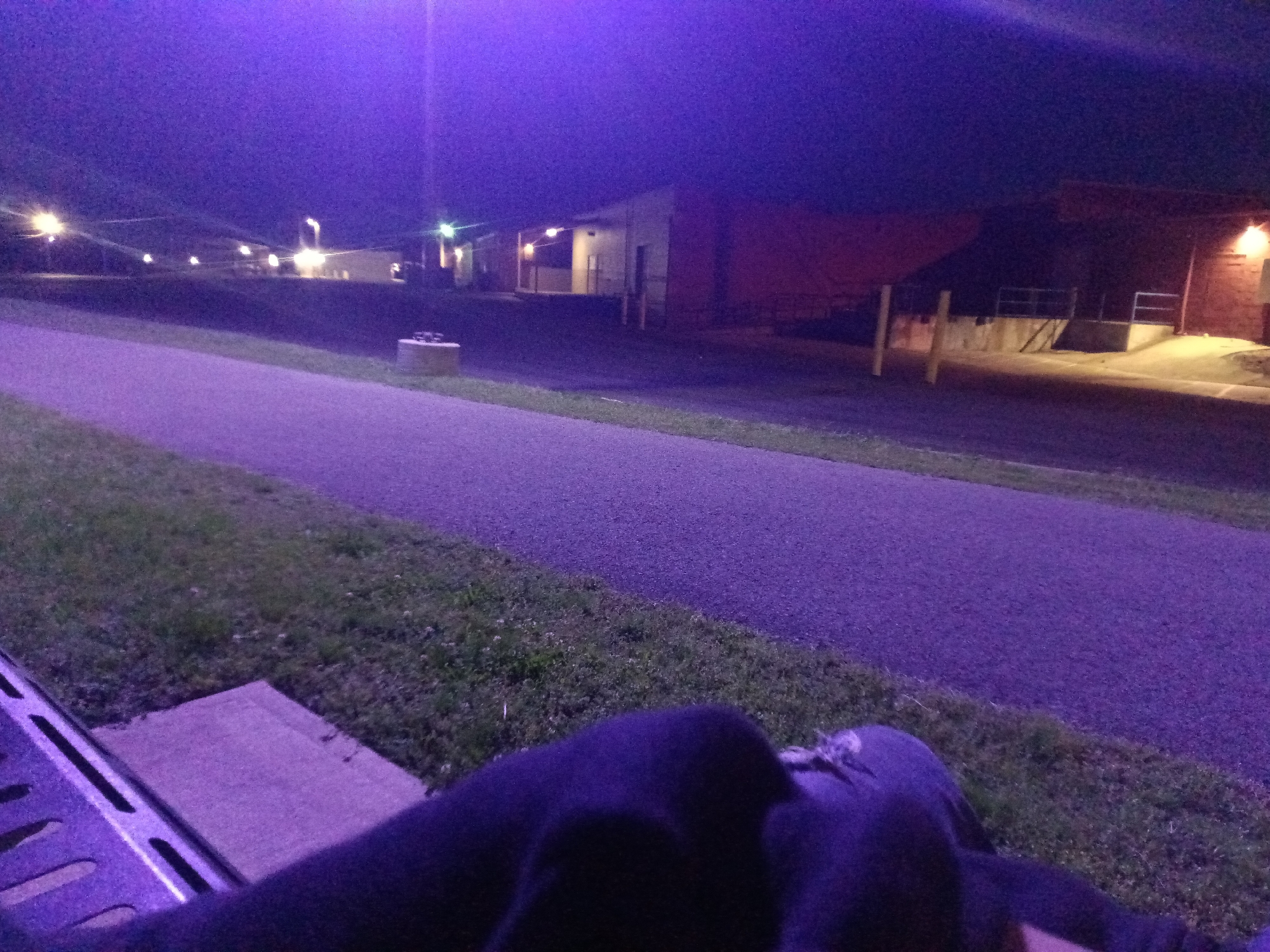 The image depicts a nighttime outdoor scene, heavily saturated with a purple or violet hue across the entire frame. In the immediate foreground, what appears to be a person's lower body, possibly legs and torso, is visible, clad in dark clothing (suggesting a hoodie or similar casual wear). To the left of the person, a metallic, grated structure, possibly a railing or part of a bench, is partially visible.
The midground features a paved path or sidewalk, which stretches diagonally from the left foreground towards the center-right background. Lush green grass borders the path on both sides. To the right of the path, a small, round, light-colored concrete object, possibly a planter or bollard, is situated on the grass.
In the background, several buildings are illuminated by artificial lights, creating bright flares in the dark sky. These structures appear to be commercial or industrial, with some featuring loading docks or service entrances, particularly on the right side where ramps and railings are discernible. Streetlights are also visible, casting their glow on the scene.
The dominant purple color suggests specific artificial lighting conditions or a camera's low-light performance. The time of day is clearly night. No specific activity is evident beyond someone sitting or lying down by the path, observing the surroundings. There is no visible text in the image. The setting appears to be an urban or suburban area, possibly near an industrial park or commercial district in Tahlequah, United States of America.