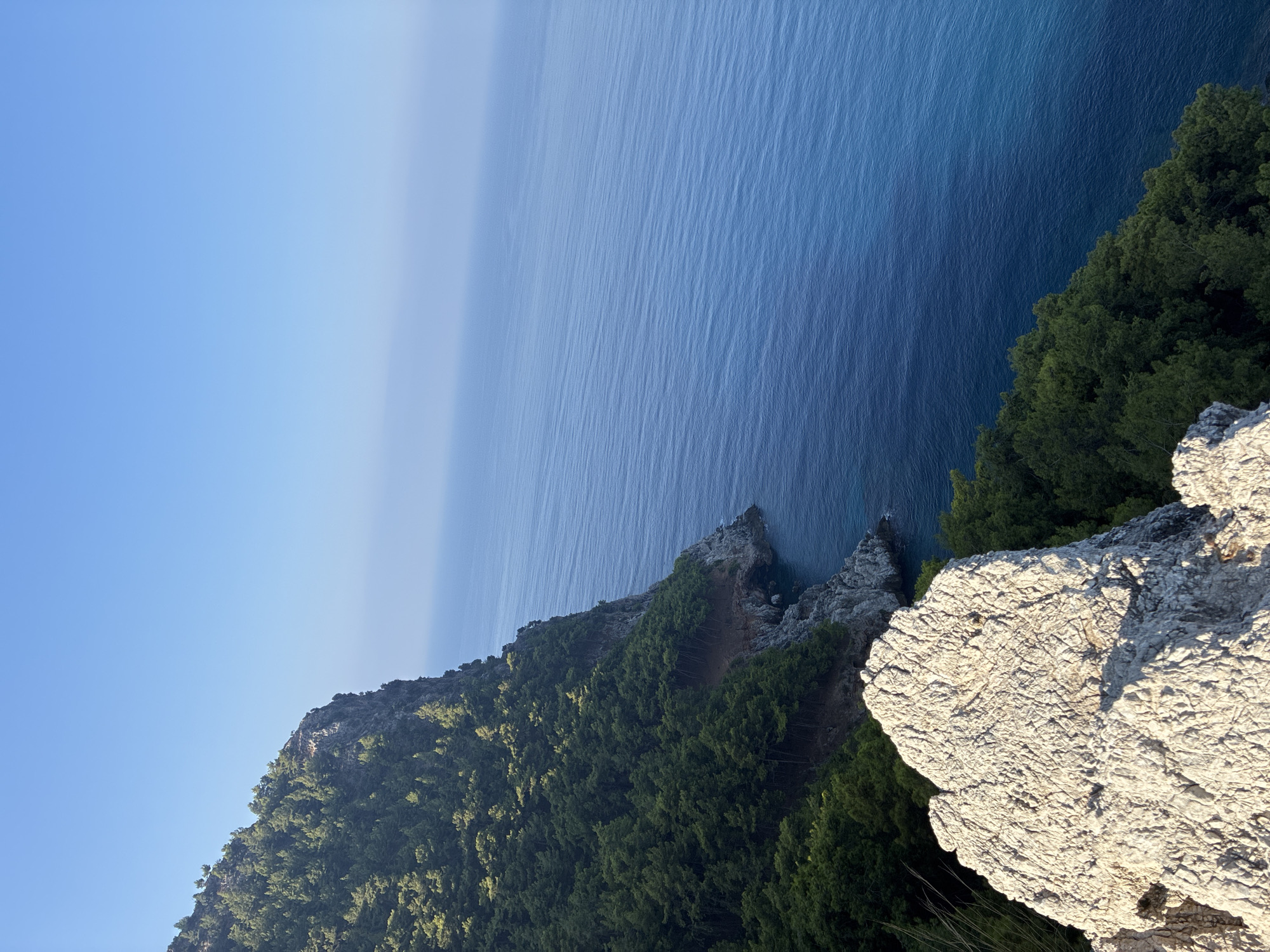 The image depicts a coastal cliffside scene in Alanya, Turkey, dominated by lush green trees that cling to the steep rocky slopes. The dense foliage covers the majority of the cliff face, with some exposed rock formations visible. Below the cliff, the deep blue sea stretches out to the horizon, its surface rippled by gentle waves. The sky above is a clear, pale blue, with a faint haze obscuring the distant sea. In the foreground, a large, pale gray rock formation with a textured surface occupies the lower portion of the frame, suggesting a high vantage point from which the photograph was taken. No people or man-made structures are visible in the image.
