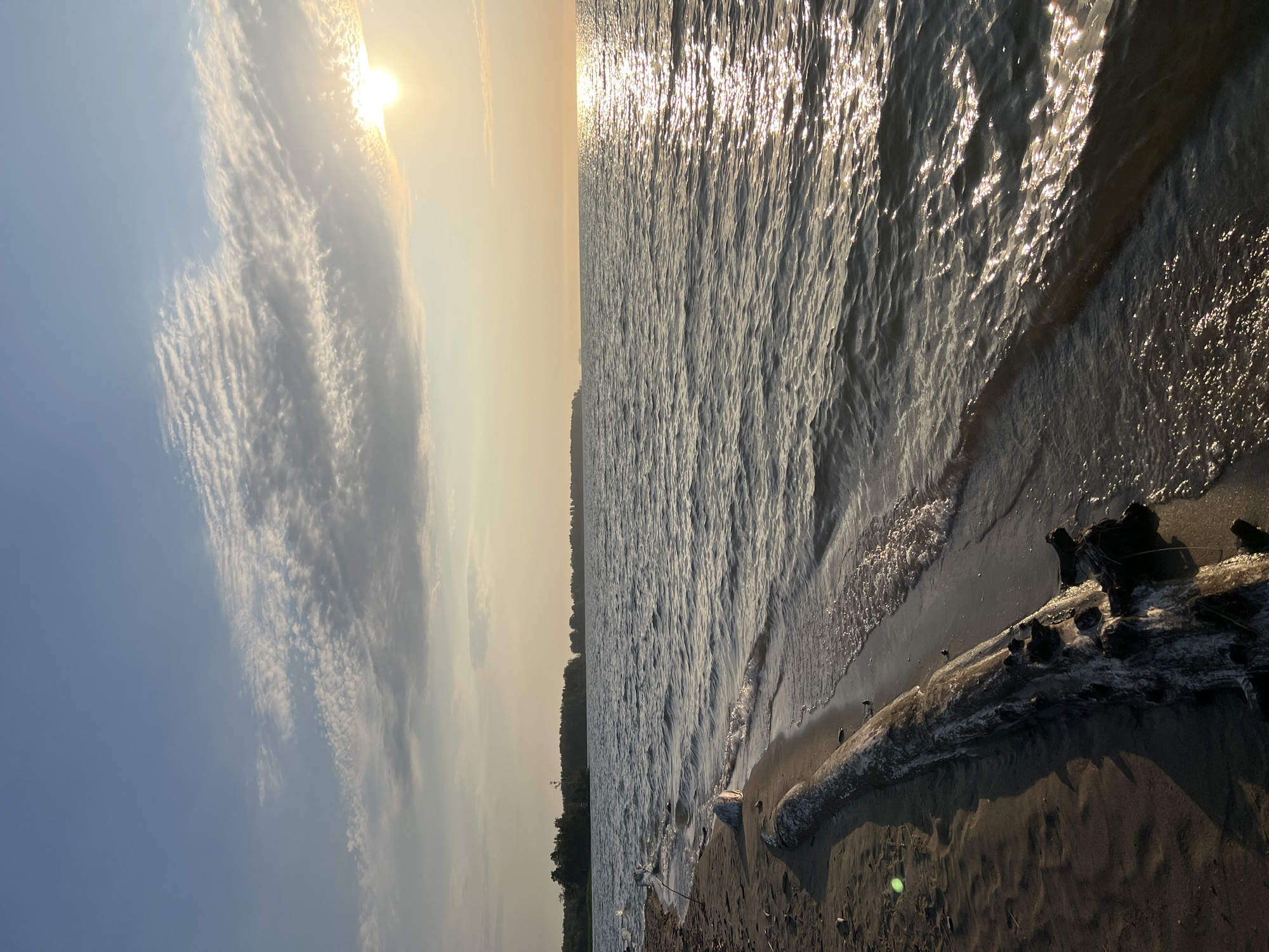 A wide-angle, eye-level, vertical shot captures a tranquil beach scene at sunset. The sky is a soft blue, adorned with wispy clouds that are illuminated by the golden glow of the setting sun, positioned on the right side of the frame. The sun's rays create a shimmering, reflective path across the gentle waves of a vast body of water that dominates the right two-thirds of the image. The shoreline, on the left, is composed of light-colored sand, with a large, weathered piece of driftwood lying diagonally across it, pointing towards the water. Small waves lap at the sandy edge, leaving a wet sheen. In the distance, a dark, tree-lined horizon stretches across the frame, suggesting a remote or natural landscape. The overall atmosphere is one of peace and natural beauty. The location is not Borovoe, Russia, but rather a generic beach setting.