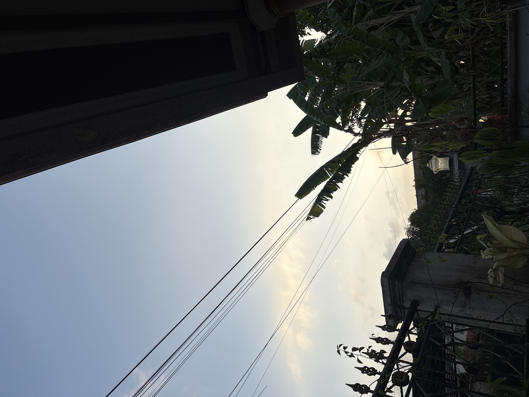 This is a low-angle, medium shot of a street scene in Palimanan, Indonesia, taken during what appears to be the late afternoon or early evening. The sky is a pale blue with subtle, wispy clouds tinged with yellow from the setting sun. Overhead, multiple dark electrical wires stretch diagonally across the frame from left to right.
In the foreground, a dark, ornate metal fence with pointed finials borders the left side of the image. A stone pillar, part of the fence or gatepost, is visible to the right of the fence, with some green foliage growing around its base. To the right of the pillar, a lush cluster of banana trees with their distinctive large, green leaves dominates the scene. The trees are dense and appear to be growing close to a building.
A portion of a building's roof overhang is visible in the upper right corner of the image. This overhang is dark and appears to be made of concrete or a similar material, with decorative recessed panels. The overall impression is one of a residential or semi-urban environment, with the natural elements of the banana trees contrasting with the man-made structures and infrastructure. No people or animals are visible in the frame. The lighting suggests a time of day when shadows are lengthening and the light is soft.