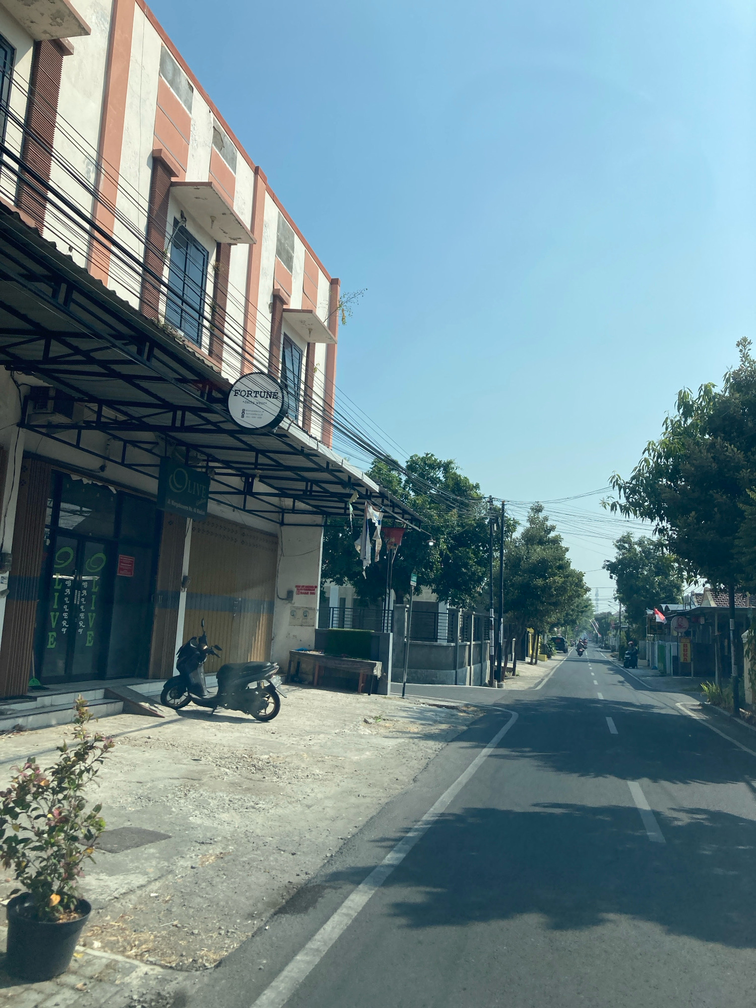The image shows a street scene with a building on the left and a road stretching into the distance. The building has a striped facade in cream and orange-brown colors, with several windows and awnings. A sign above an entrance reads "FORTUNE." Below, another sign says "OLIVE." A dark-colored scooter is parked on the sidewalk in front of the building. The sidewalk is paved and has some scattered debris. A potted plant with dark leaves is situated on the sidewalk in the foreground. The road is asphalt with white lane markings and is lined with trees and other buildings. Several motorcycles are visible on the road in the distance. The sky is clear and blue.