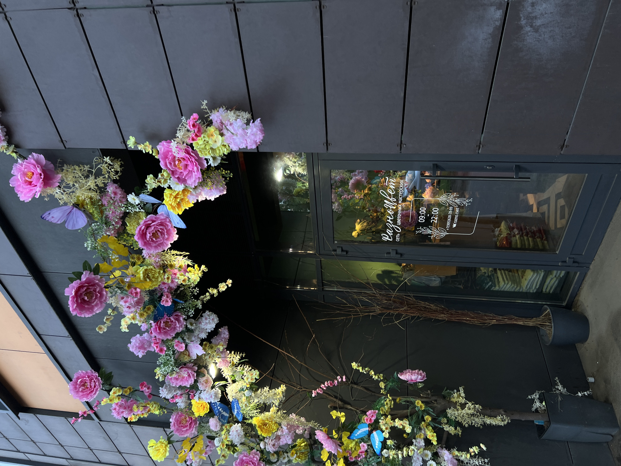 The image shows a store entrance decorated with an abundant floral arch and two potted plants. The floral arrangement features a mix of large pink peonies, smaller pink and yellow flowers, and green foliage, interspersed with blue butterflies. To the left of the entrance, a dark grey planter holds a potted tree adorned with white and pink flowers and a string of hanging greenery. To the right of the entrance, a tall, dark grey planter contains a bare, branching tree.
The entrance itself is a glass door with a dark grey frame. On the glass, white lettering displays the store's name, "Разноцвет" (Raznotsvet), followed by "сеть цветочных мастерских" (a network of flower workshops). Below this, operating hours are listed as "09:00 - 22:00", and a phone number "+7(995)628-78-89" and website "razno.cvet" are visible. The door opens into a shop interior where stacks of items, possibly flowers or merchandise, are visible.
The building's exterior wall is clad in dark grey, horizontally paneled material. Above the entrance, a section of the building is visible with a lighter, possibly beige or orange, facade. The overall lighting suggests it is either dusk or a dimly lit area. The image appears to be taken from a low angle, looking upwards towards the entrance. The location is identified as Unknown, Russia, based on the provided context.