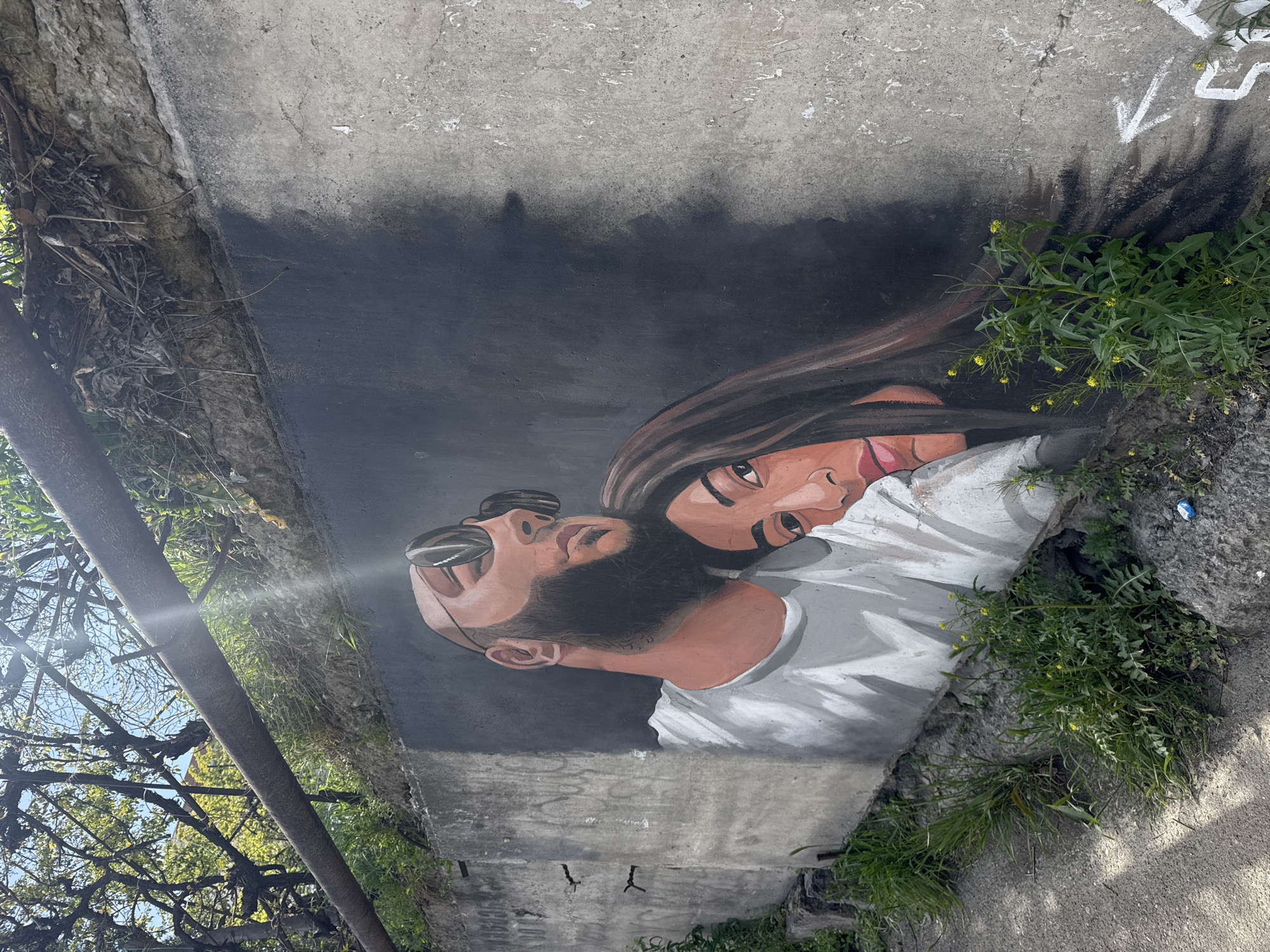 This outdoor photograph captures a vibrant mural painted on a concrete wall, likely in Tbilisi, Georgia. The mural depicts a close-up, bust-style portrait of two individuals, a man and a woman, set against a dark background that contrasts with the lighter tones of their skin and clothing.
On the left, a man with a beard and dark, short hair wears dark sunglasses reflecting bright light. His head is tilted back, and his mouth is open with his tongue slightly out, conveying a sense of playfulness or exuberance. He wears a white t-shirt. Partially behind and to his right is a woman with long, dark hair flowing backwards. She has large, dark eyes looking forward and full, slightly parted pink lips, giving her a more serene or observant expression. She also appears to be wearing a white top.
The concrete wall itself shows signs of age and texture. Surrounding the mural, particularly along the bottom and right edges, is abundant green vegetation, including plants with small yellow flowers, and some dried organic debris. On the far left, a thick, dark pipe or beam runs vertically, with tree branches and bright sky visible behind it, indicating an outdoor, possibly urban, setting. Bright sunlight creates a lens flare on the left side of the image, confirming a daytime scene. White graffiti, including a downward-pointing arrow and other abstract shapes, is visible on the concrete above the mural to the right. The image is oriented with a significant tilt, suggesting a dynamic photographic angle.