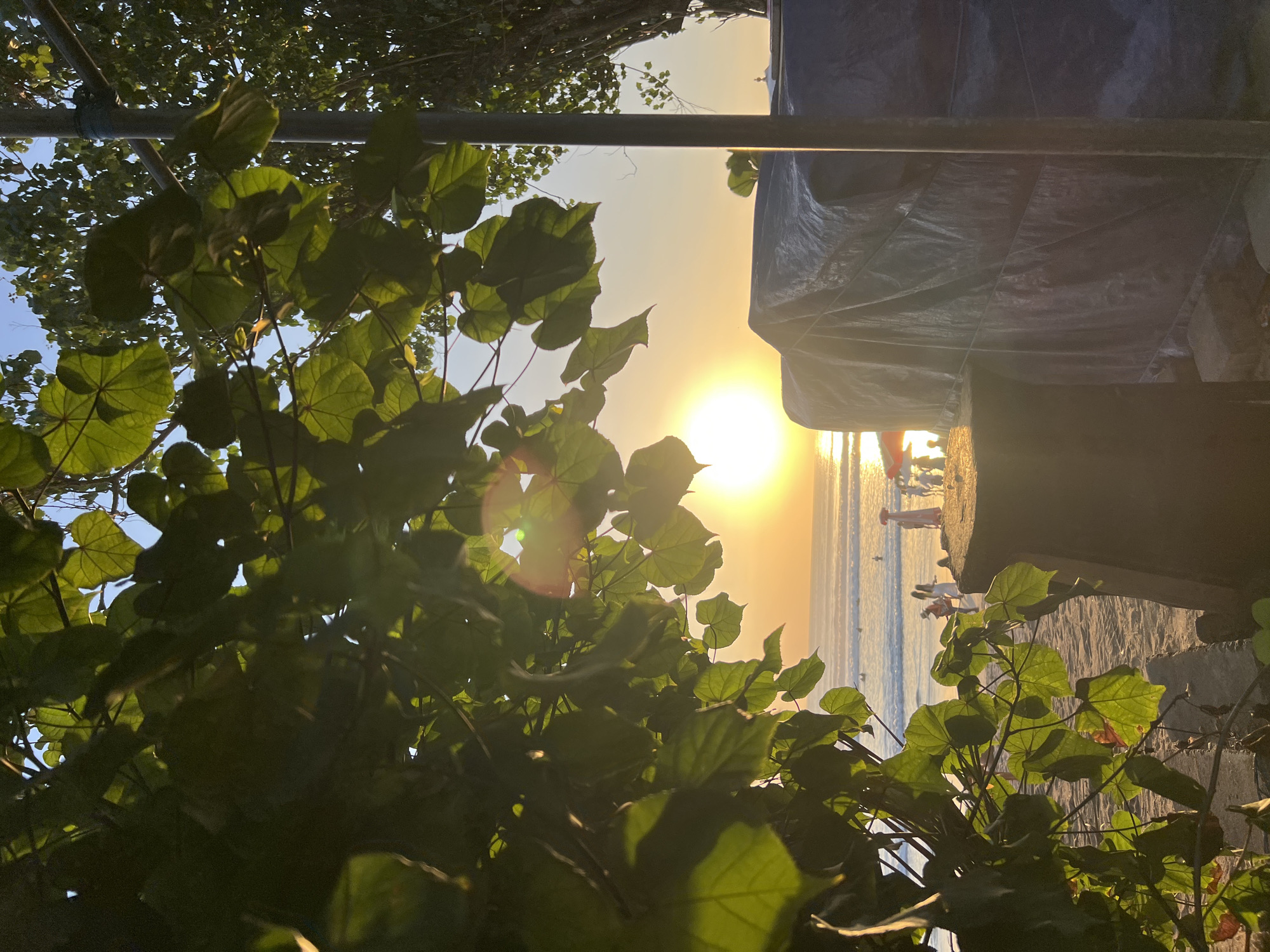 The image depicts a sunset scene at Kuta Beach in Bali, Indonesia. In the foreground, a large leafy tree partially obscures the view of the beach. Sunlight filters through the leaves, creating a warm glow and lens flare. A tarp-covered structure, possibly under construction or storage, is visible on the right side of the frame. The beach itself is sandy, with several people walking and standing near the water. The ocean stretches to the horizon, with gentle waves and the setting sun casting a golden hue across the water. In the distance, surfers can be seen in the ocean. The sky is clear with warm orange and yellow tones from the setting sun.