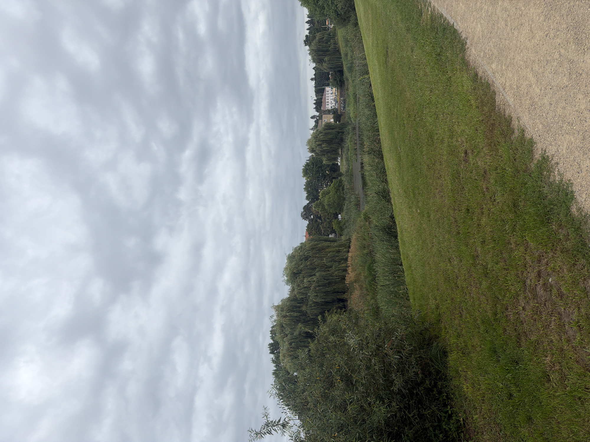 The image depicts a cloudy day in a park-like setting. In the foreground, a path made of gravel runs diagonally from the bottom right corner towards the center. To the left of the path is a grassy slope. Beyond the slope, a body of water, likely a pond or canal, is visible, bordered by reeds and tall grass. Several large weeping willow trees dominate the middle ground, their long, drooping branches creating a dense curtain of green. In the distance, a row of buildings can be seen nestled among other trees. The sky is filled with heavy, gray clouds, suggesting overcast weather. The overall scene is tranquil and natural. This image was taken in Szczecin, Poland, specifically within the area of Lake Dąbie, a popular recreational spot known for its natural beauty and walking paths.