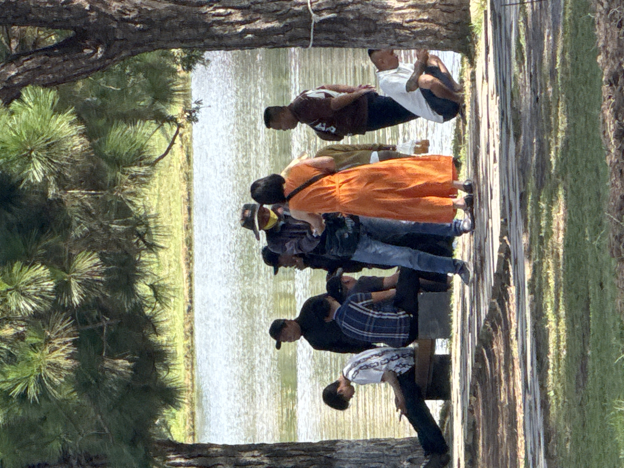 In Da Lat, Vietnam, a group of people are gathered near a body of water, likely Xuan Huong Lake. Two large pine trees frame the scene, with sunlight dappling through their needles onto a wooden walkway and grassy area. Several individuals are visible. On the left, a young man in a white and patterned shirt sits on a bench, looking down at his phone. To his right, a person in a plaid shirt sits on the same bench. Further back, a man in a black shirt and cap stands. In the center of the frame, a man wearing a hat and face mask is interacting with a woman in a bright orange dress. Behind them, another man in a maroon shirt stands, and to his right, a person in a white shirt crouches near a tree trunk. The water behind them appears calm with a slight shimmer.