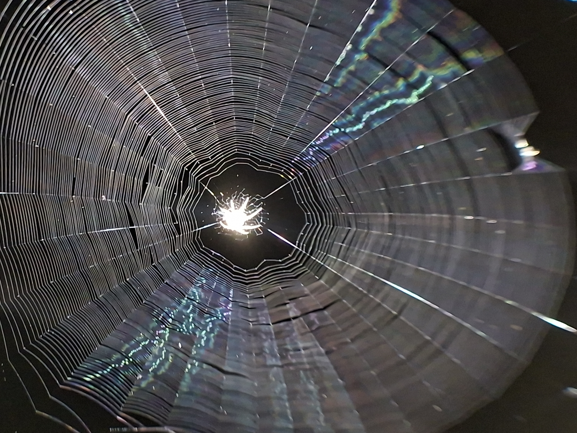 A low-angle, close-up shot depicts a spiderweb with iridescent qualities, radiating from a bright central point. The web's intricate pattern consists of concentric circles connected by radial strands. The environment is dark and indistinct. The location is not identifiable as Lhokseumawe, Indonesia, from the visual information.