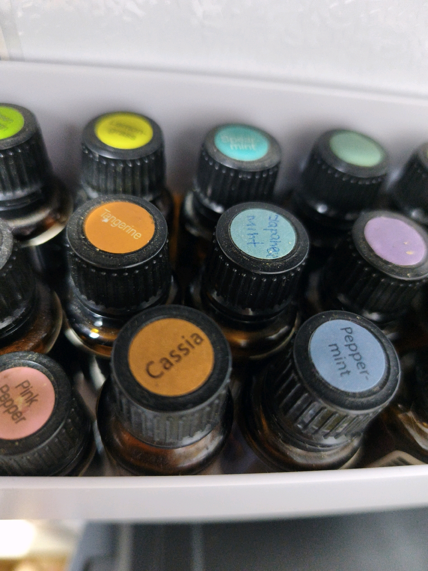In the city of Lachish Regional Council, Israel, this close-up, eye-level shot captures an assortment of essential oil bottles neatly arranged within a white container. The bottles, primarily amber-colored, are capped with black screw tops. Each cap features a circular label indicating the scent within, distinguished by color and text. Visible labels include "Tangerine" on an orange cap, "Cassia" on a yellow-orange cap, "Pink Pepper" on a pink cap, "spearmint" on a light blue cap, and "peppermint" on a blue cap. A light green cap is also visible, though the text is illegible. The shallow depth of field blurs the background and some of the bottles, drawing focus to the labeled caps.