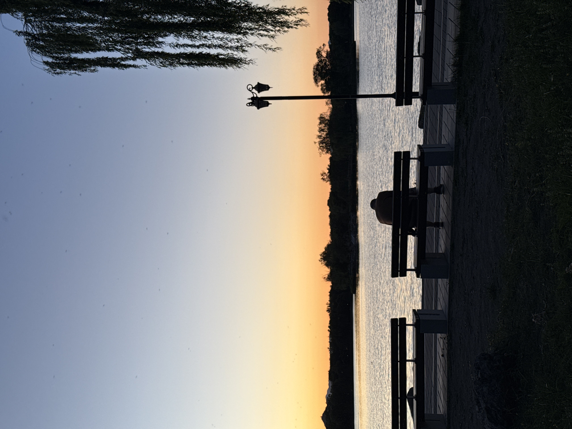 The image depicts a person sitting on a park bench at sunset in Haidian District, China. The bench is located on a boardwalk along the edge of a lake or river. A lamppost stands near the bench. The sky transitions from light blue to orange at the horizon. There is a line of trees across the water, as well as a tree hanging on the top left.