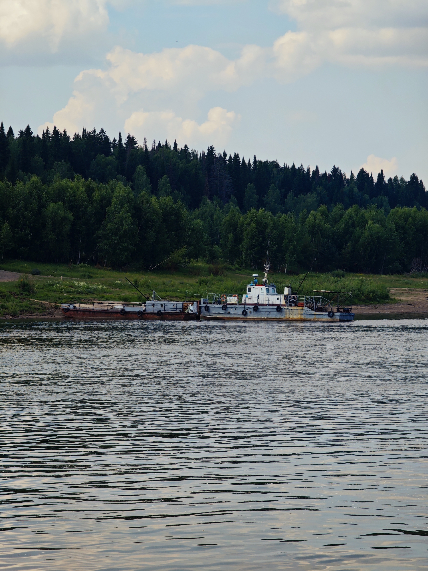 An external, daytime, vertical shot captures a broad, calm river with a barge and a small tugboat docked near the grassy bank. A dense, dark green forest lines the opposite bank, with a clear blue sky and scattered white clouds above. The barge, a long, flat structure with a rusted hull, is laden with what appear to be cylindrical objects. A smaller, white tugboat is moored alongside the barge, featuring a cabin, a mast, and railings. The river's surface is rippled, reflecting the subdued light. The overall scene depicts a quiet, natural environment with industrial elements.
