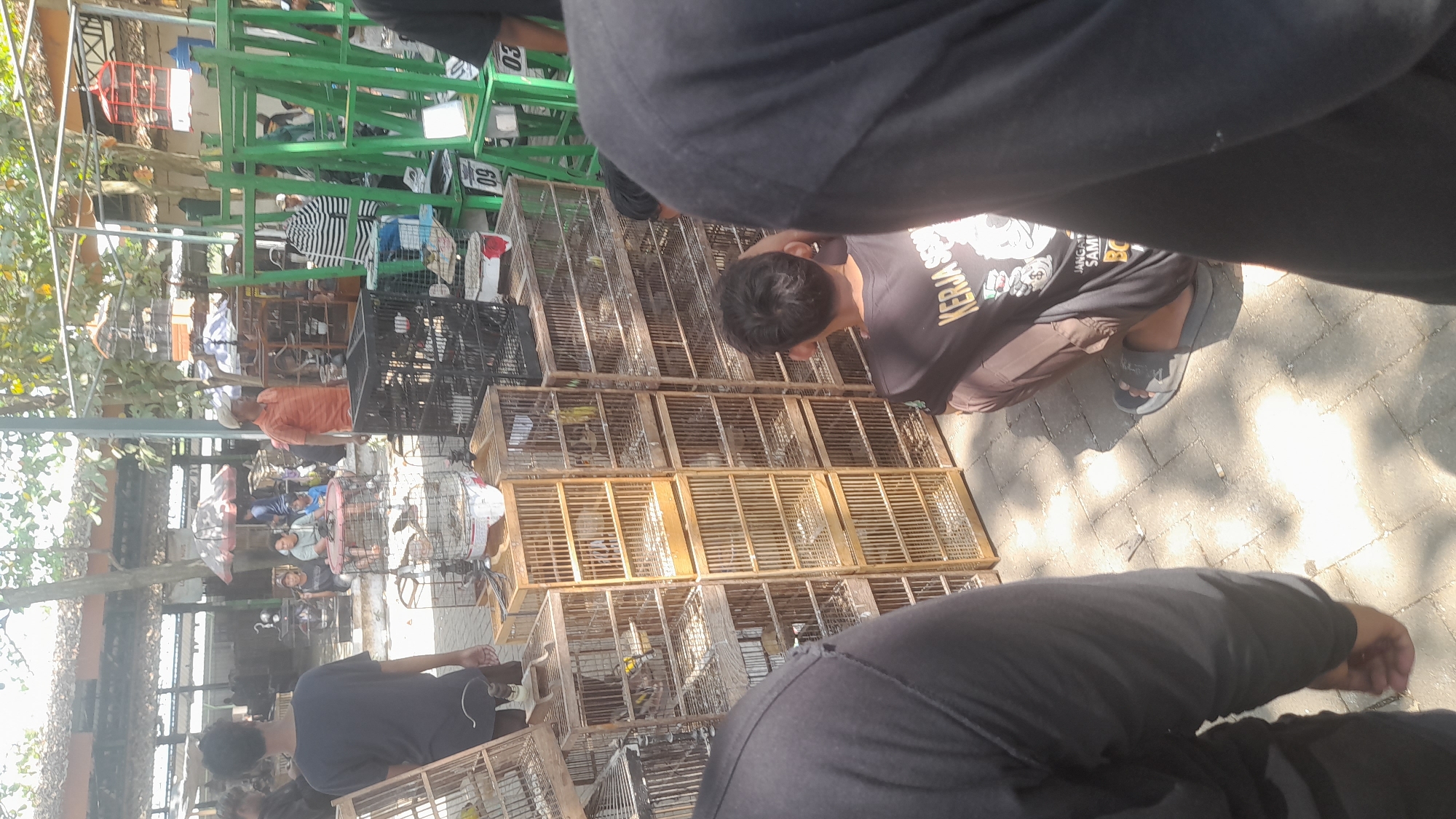 The image depicts an outdoor bird market scene in Pekalongan, Indonesia, likely on a paved walkway. Several individuals are present, some engaged in examining or tending to birds housed in numerous wooden and black wire cages stacked in rows. In the foreground, two people wearing dark shirts are partially visible, one with a black shirt featuring white text, and another person's arm and shoulder. A young man in a black t-shirt with white text on the back, possibly a uniform reading "KERJA SOSIAL", is seated on the ground, facing away from the camera. To his right, a man in an orange shirt and a beige cap stands near some cages. The background shows a covered market area with more cages and a green metal structure with numbered signs (09, 03). Trees with lush green foliage are visible above, suggesting a warm, sunny day. The overall impression is of a bustling marketplace dedicated to the sale and display of birds.