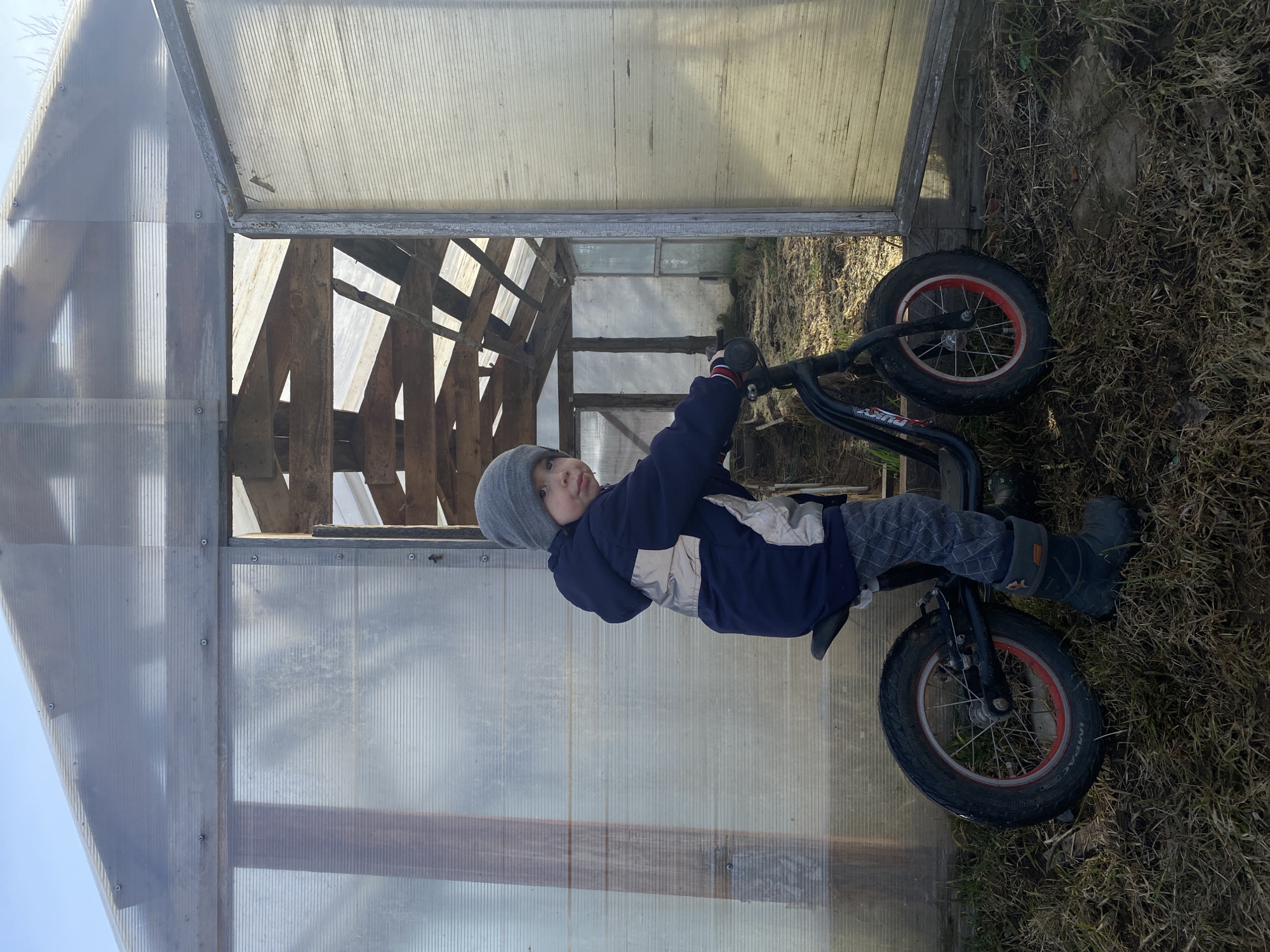 A young child, wearing a gray hat, a navy blue and silver jacket, patterned pants, and black boots, sits on a black balance bike. The child faces left and looks up. The bike's wheels have red rims. The setting appears to be a rural area near Ольховка, Russia. A greenhouse, constructed with a wooden frame and translucent plastic panels, stands behind the child. Dry grass and weeds are visible on the ground. The sun is shining.