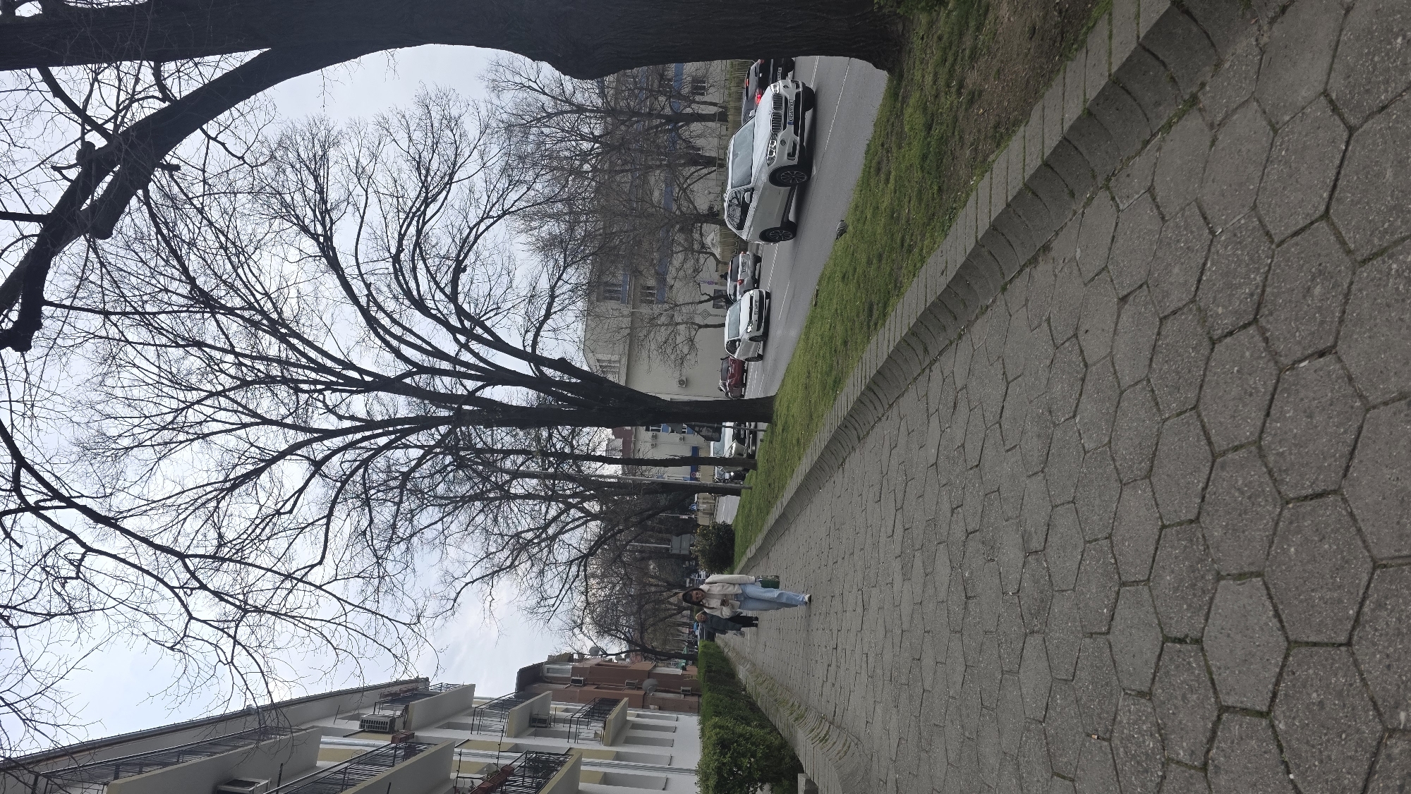 A slightly rotated, eye-level photograph captures a cityscape scene with a paved walkway in the foreground. A woman is walking along the walkway in the middle of the shot. Cars are parked along a road to the right of the walkway. Buildings line the left side of the frame. Bare trees are scattered throughout the scene. The sky is overcast. The photograph appears to be taken in Blagoevgrad, Bulgaria.