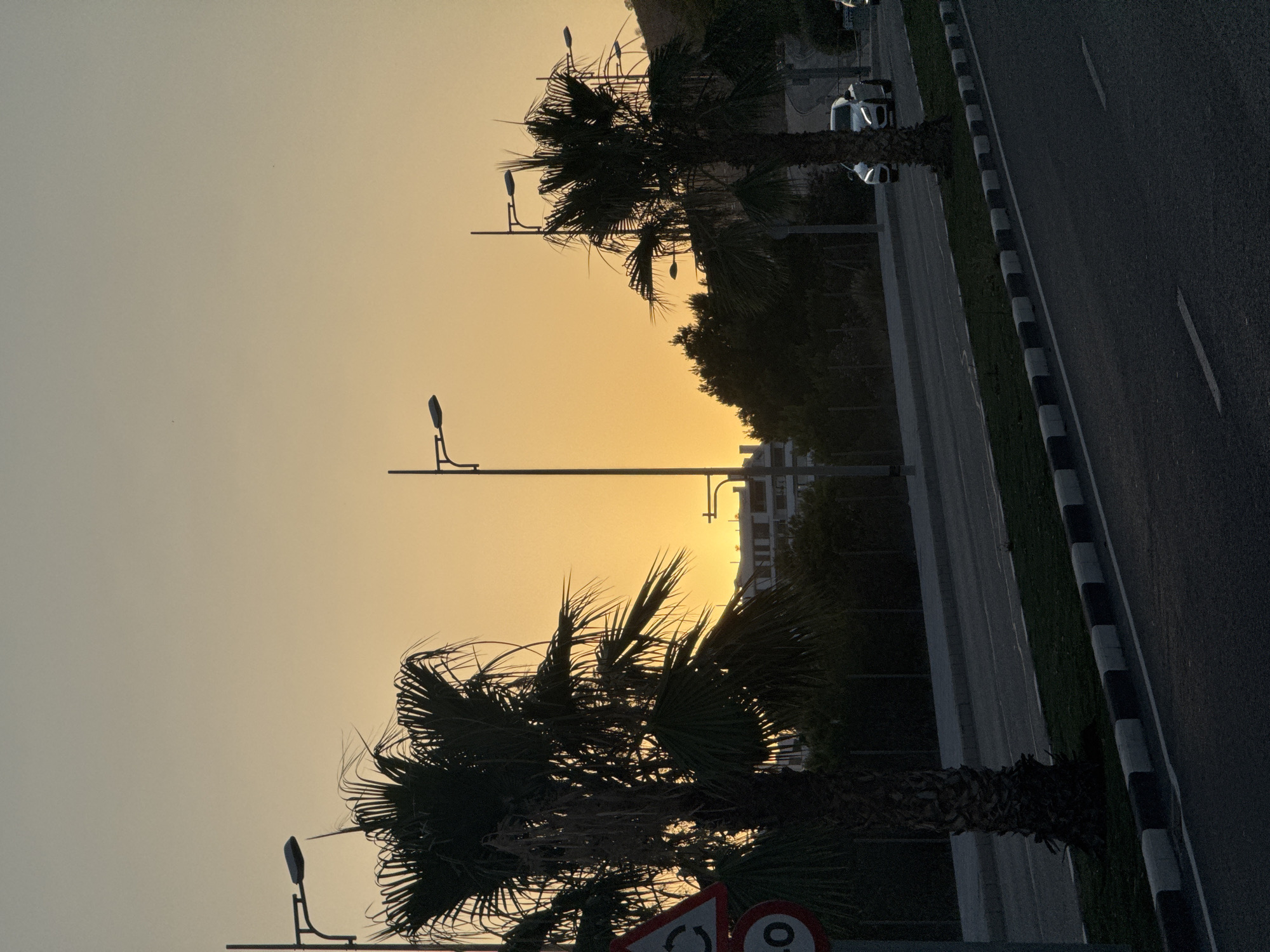A silhouetted palm tree stands in the foreground against a warm orange sunset sky. Two streetlights are visible, one on the left and another further to the right. In the background, a row of dark trees lines the horizon, with buildings peeking through the foliage. A road with a curb and white dashes marks the pavement runs diagonally through the lower portion of the image. Two white cars are driving on the road. A traffic sign with a circular arrow and a number 40 is partially visible on the left side of the frame. The scene appears to be a roadside in Finestrat, Spain, at dusk.
