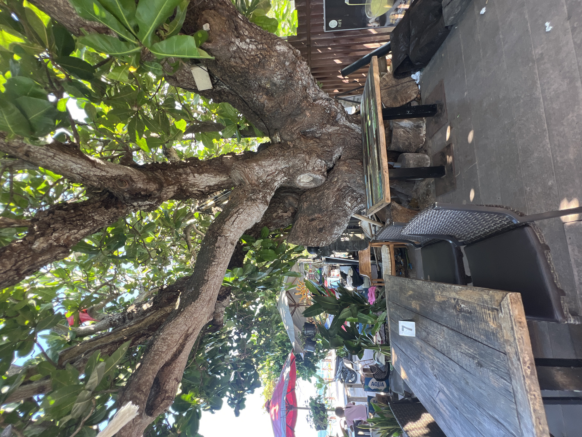 The image captures an outdoor seating area, likely a cafe or restaurant, situated beneath the sprawling canopy of a large, mature tree in Denpasar, Indonesia. The tree's thick, gnarled trunk and branches dominate the foreground, with lush green foliage creating a dappled sunlight effect on the ground.
In the foreground, a rustic wooden table with a textured surface, marked with the number "7," is set with dark-seated chairs. To the right, a smaller, colorful wooden table rests on metal legs. Beyond these tables, the scene opens up to reveal glimpses of the surrounding environment. Red and white umbrellas, a motorcycle, and several plants suggest a public space, possibly near a beach or walkway. In the mid-ground, various items are stored or displayed, including bags, potted plants, and what appears to be a rack of miscellaneous objects. A child wearing a pink shirt is visible in the distance, seated at a table. The overall ambiance is relaxed and casual, with the natural shade of the tree providing a cool respite from the tropical climate. The wooden decking and the presence of outdoor furniture indicate this is a well-utilized public amenity.